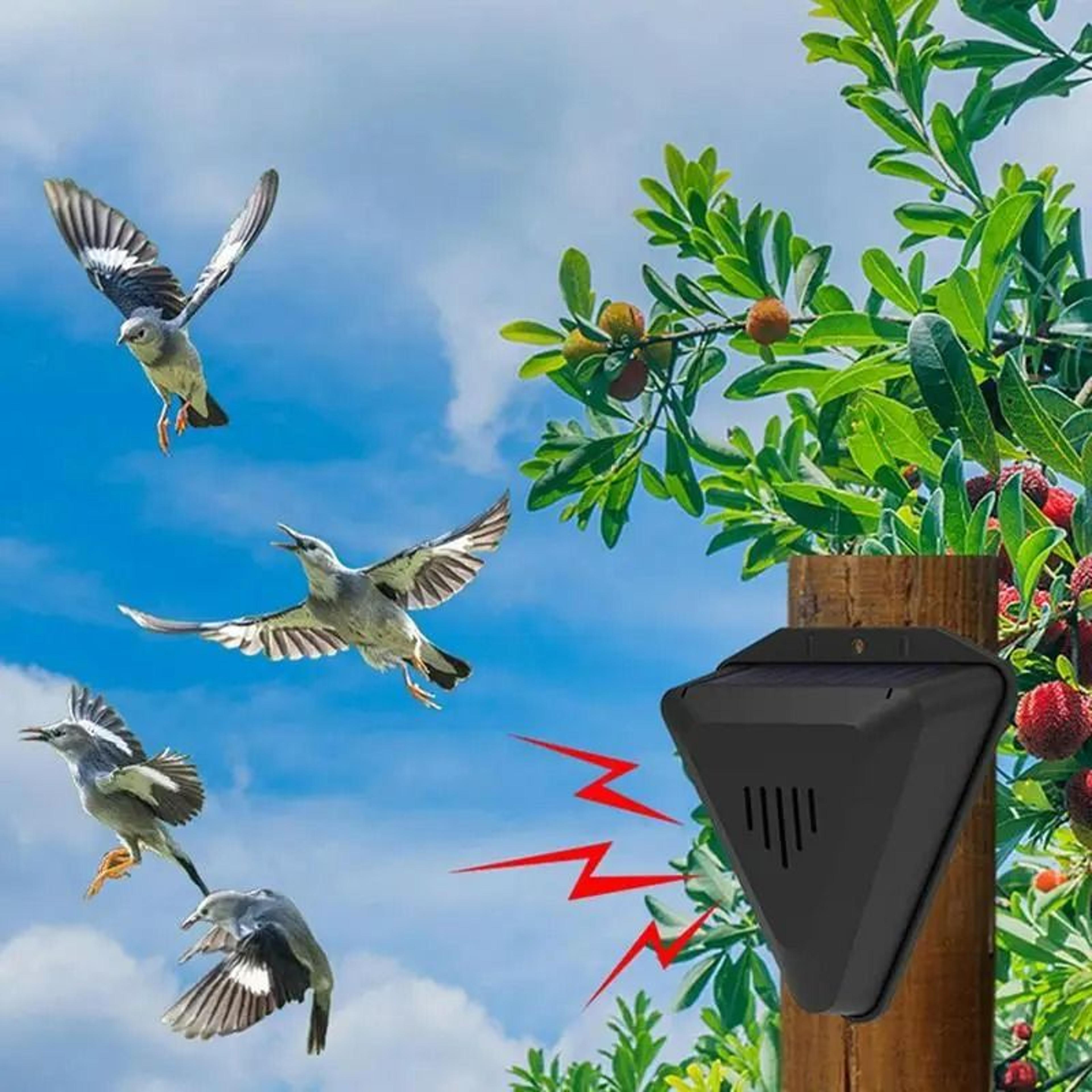 Solar Timer Outdoor Sound Bird Repeller  Alarm 5