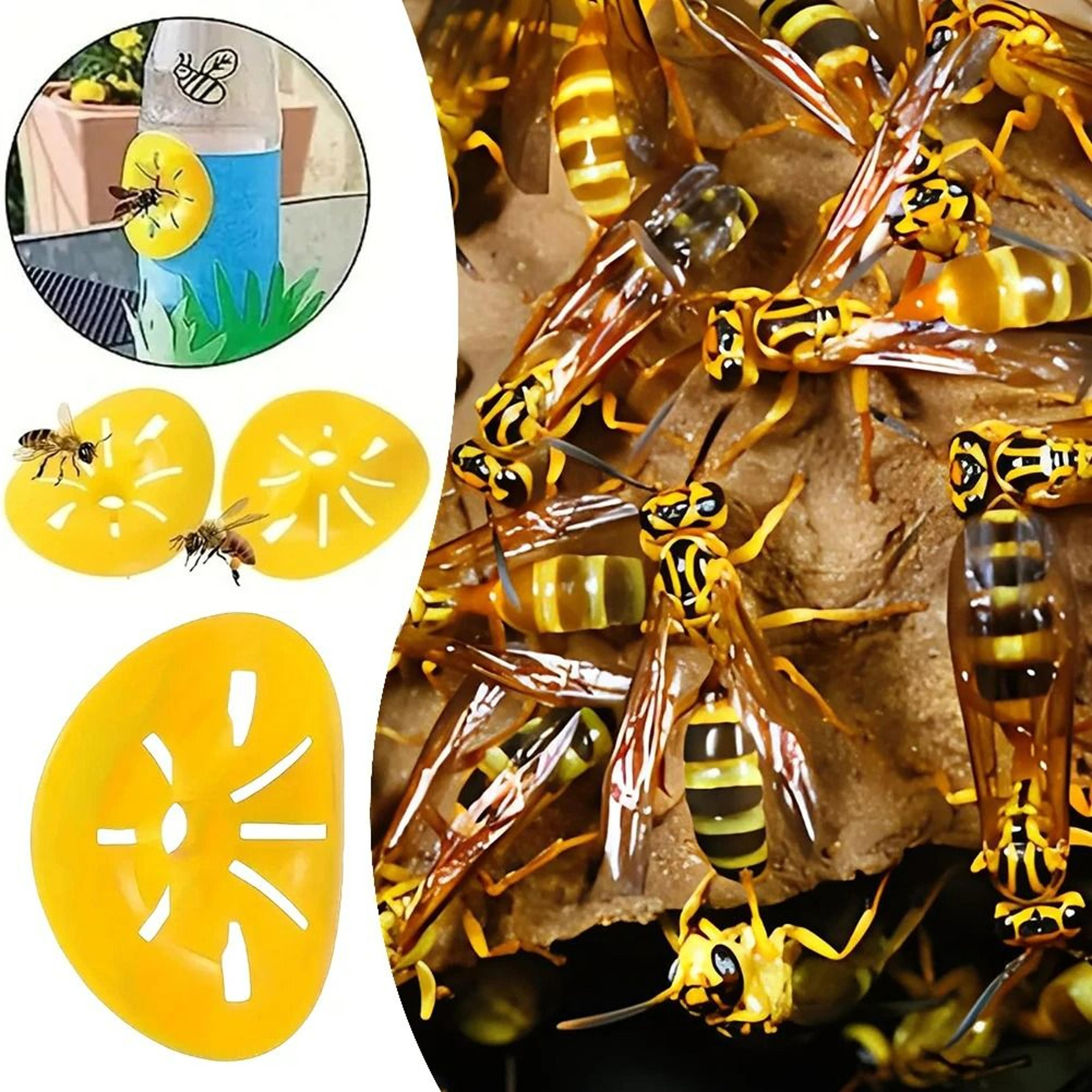 5-piece reusable flower-shape wasp & hornet funnel trap set