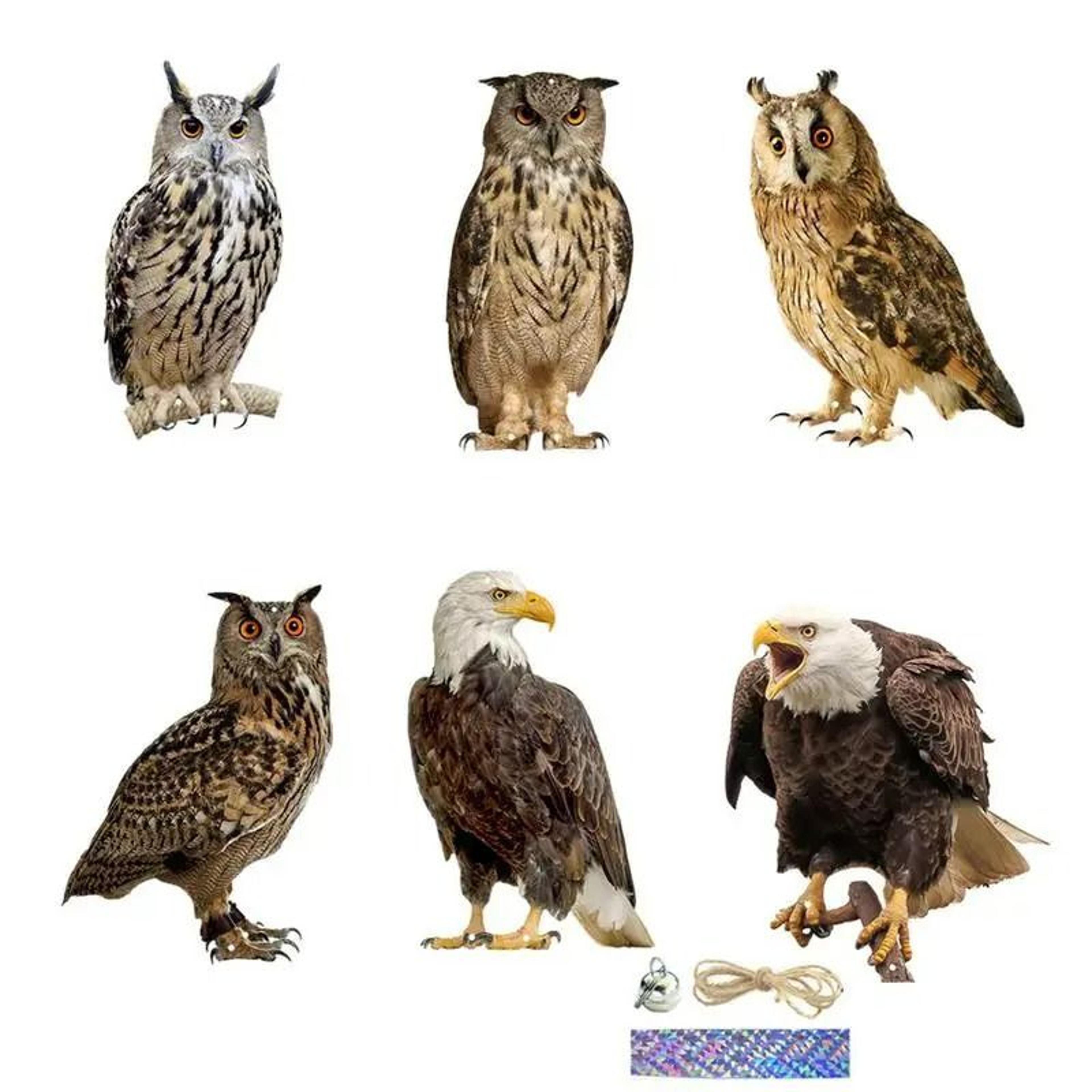 Flat Waterproof Realistic Owl Bird Repellent Scarecrow Device 3