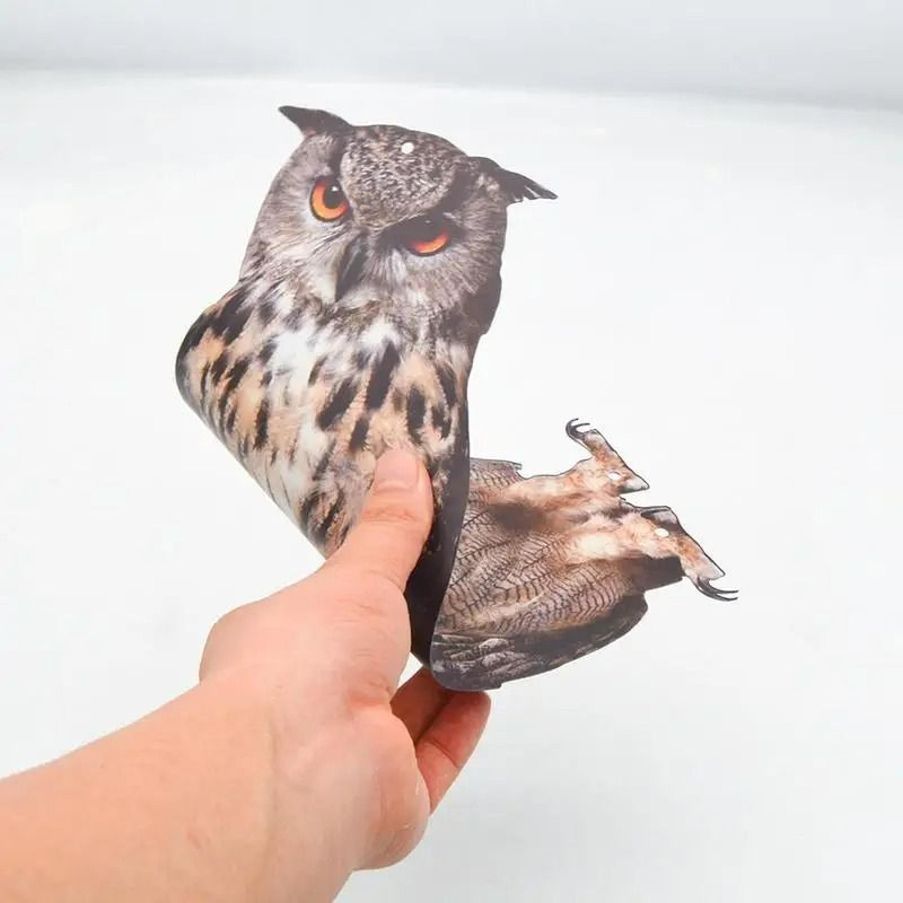 Flat Waterproof Realistic Owl Bird Repellent Scarecrow Device 4