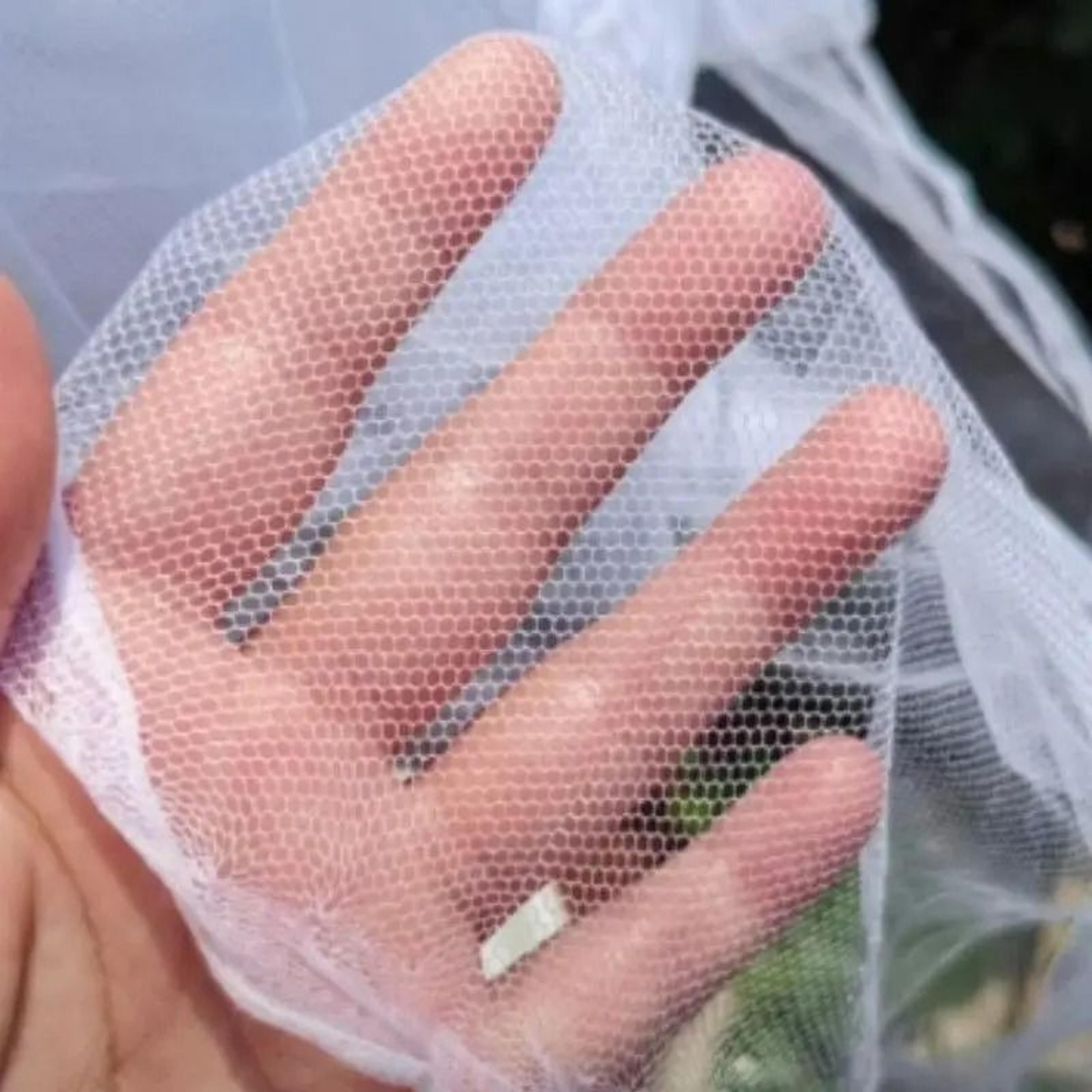 Palace FourDoor Square Bed Canopy Mosquito Net 4