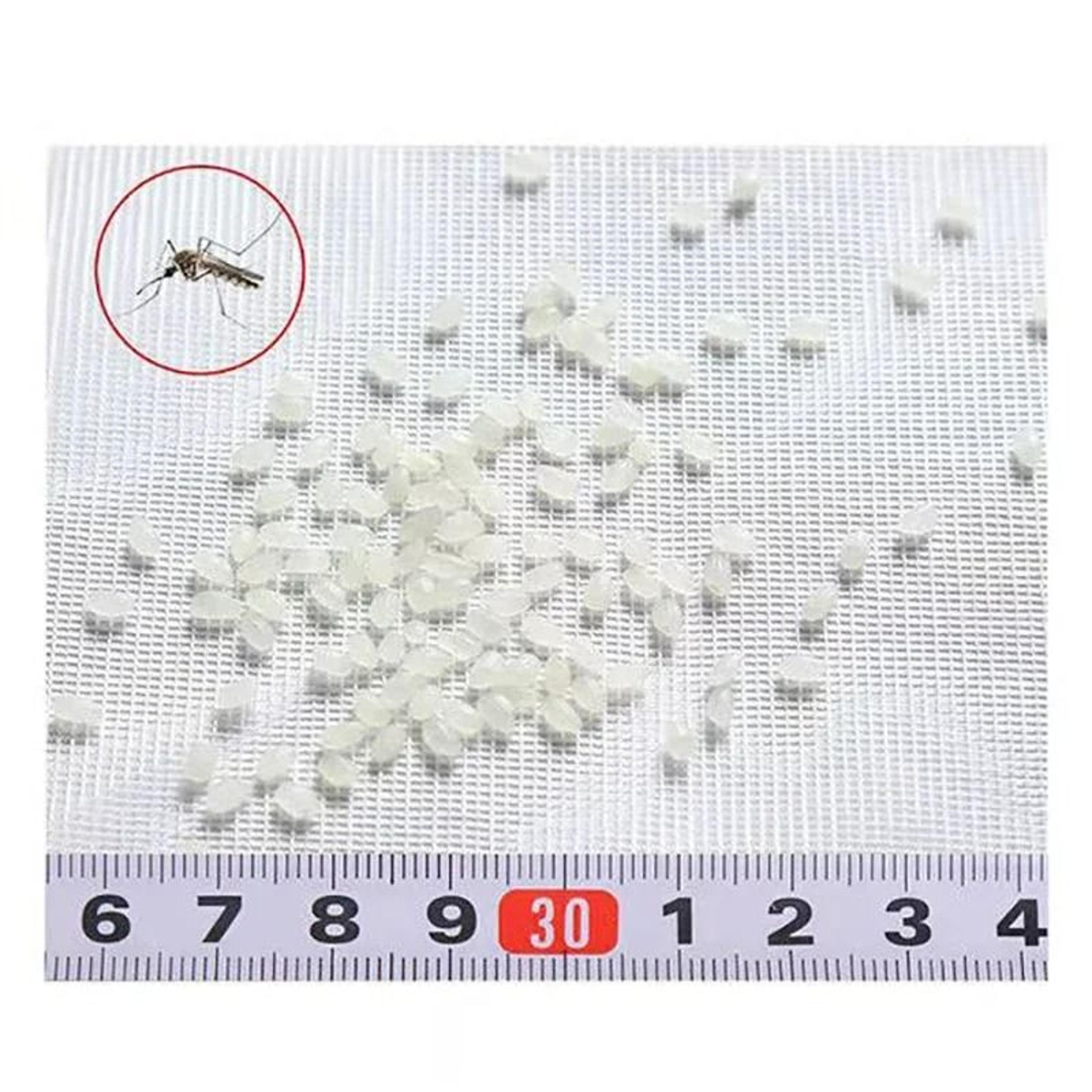 Upgraded Zipper Mesh Window Screen 5