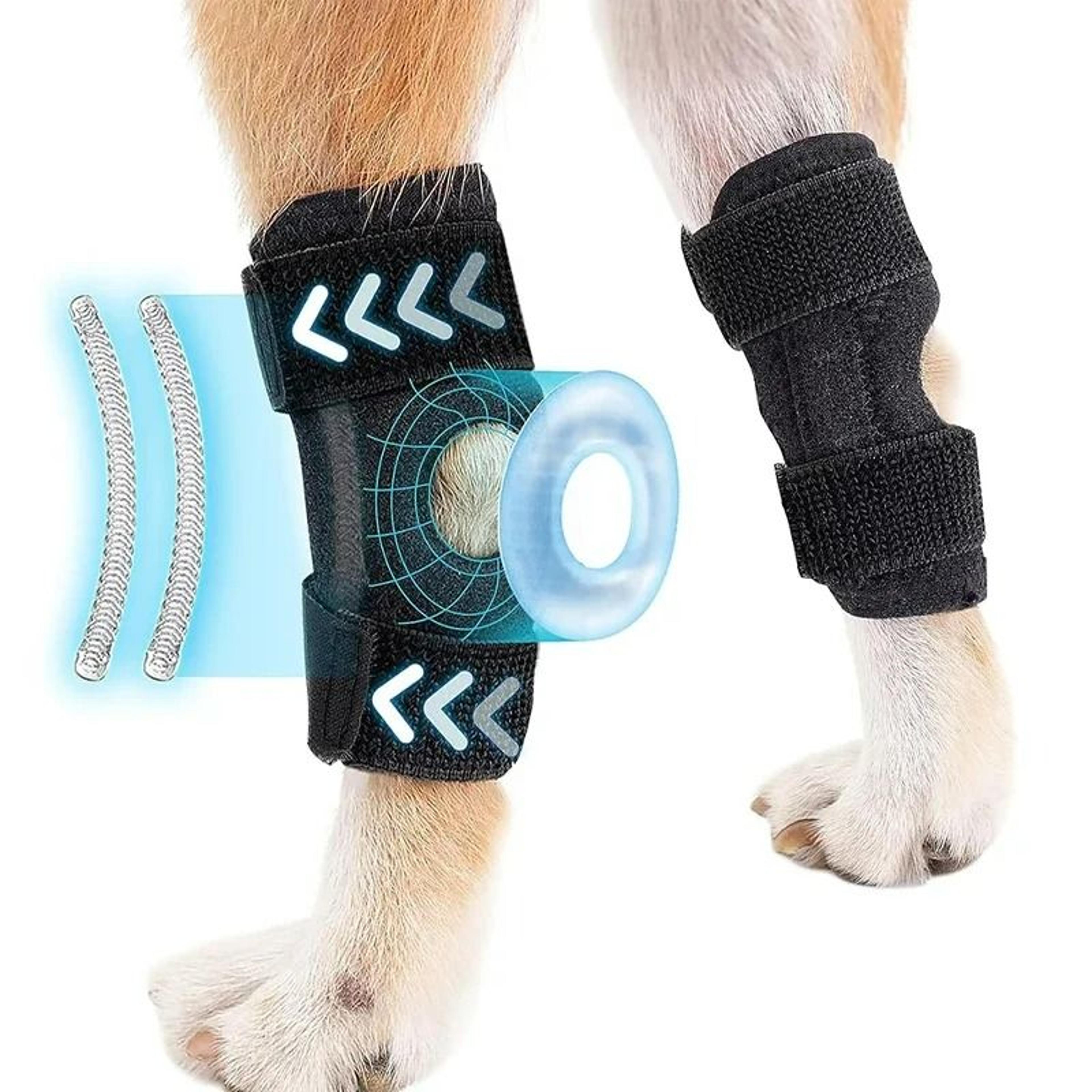 Dog Leg Hock Joint Wrap  Knee Support Pads 1 Pair 4