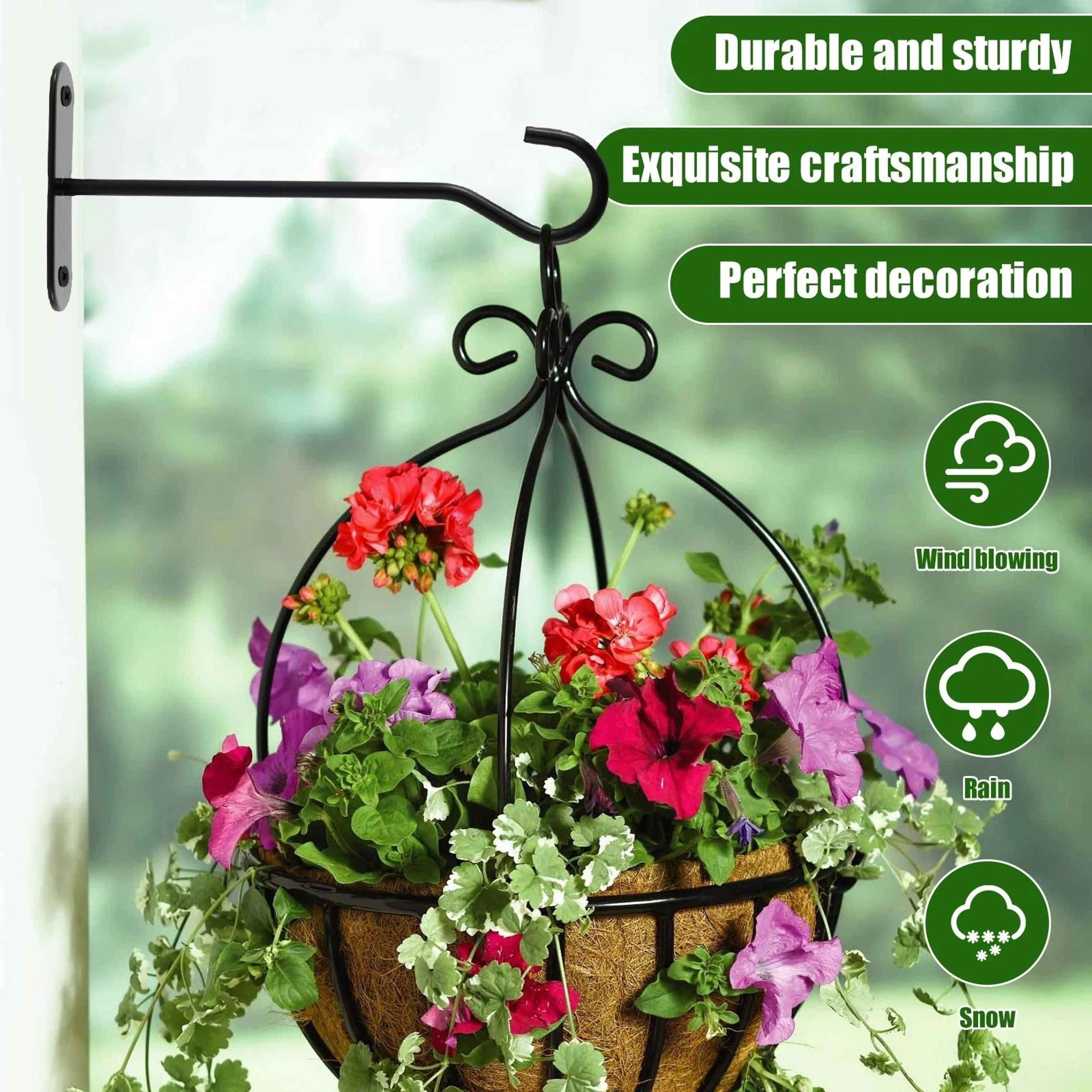 4Piece Vintage European Wrought Iron Wall Hook Bracket Set 3