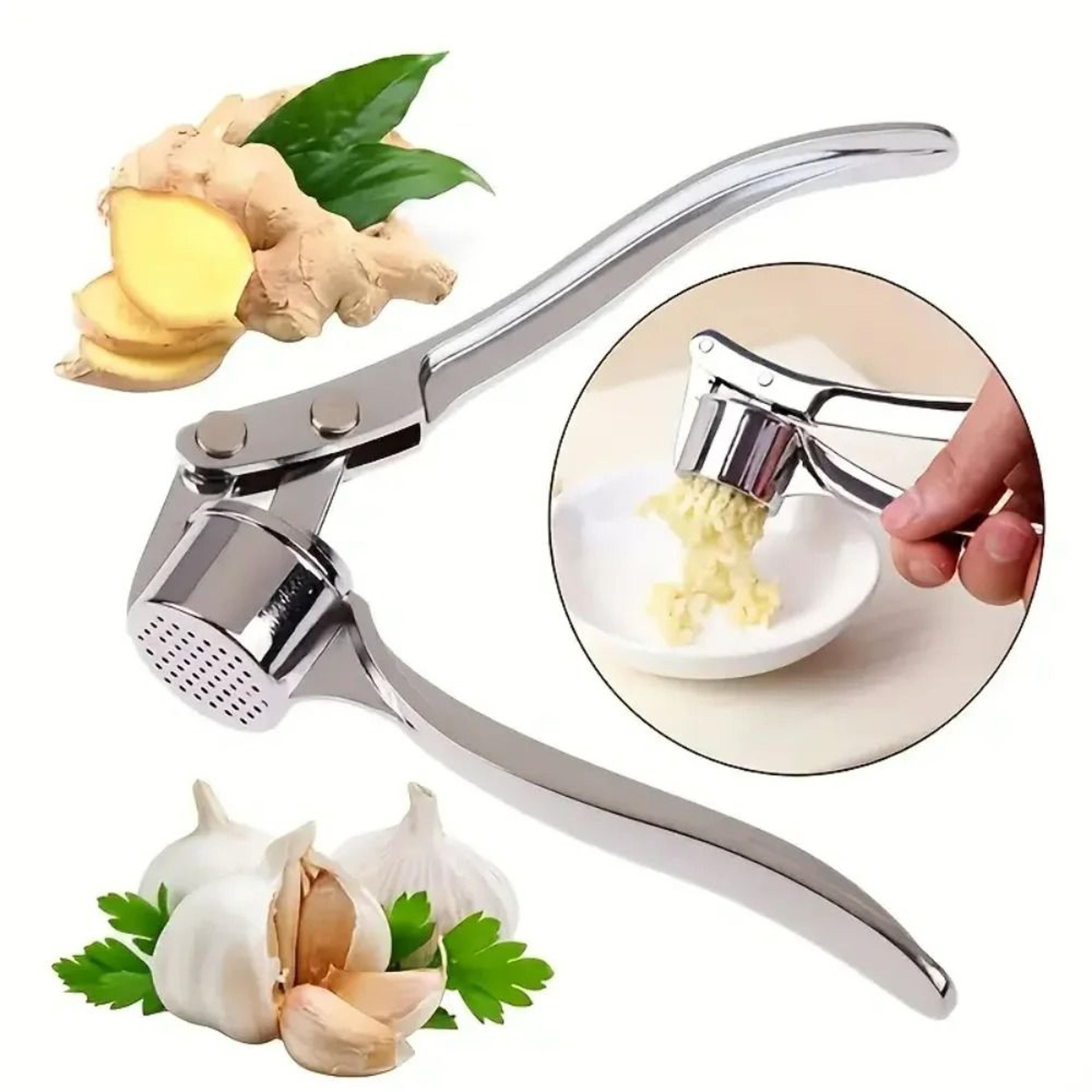 Stainless Steel Ergonomic Garlic Press  Rocker Shredder 1
