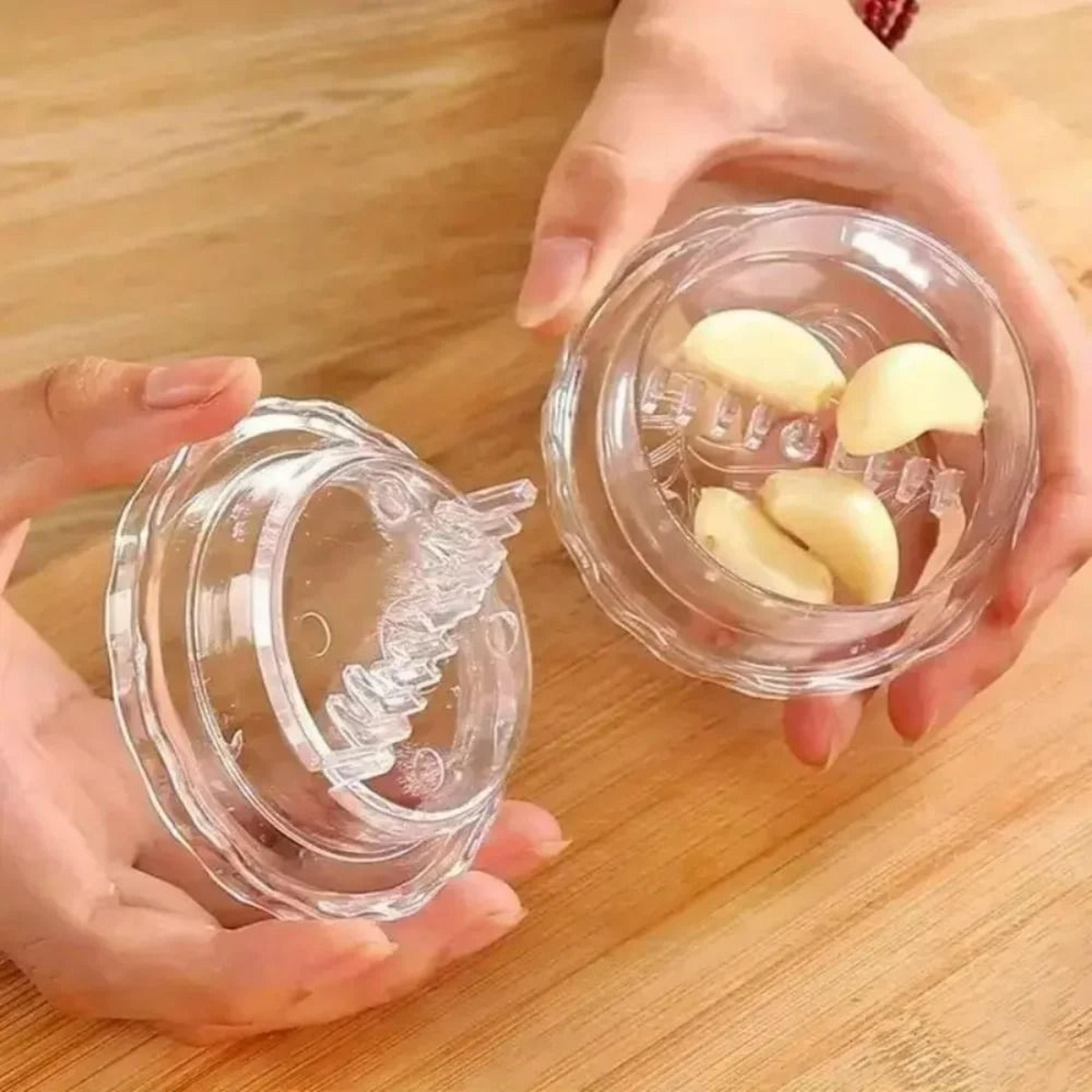 Mini Garlic Press  Grinder Box Container 3