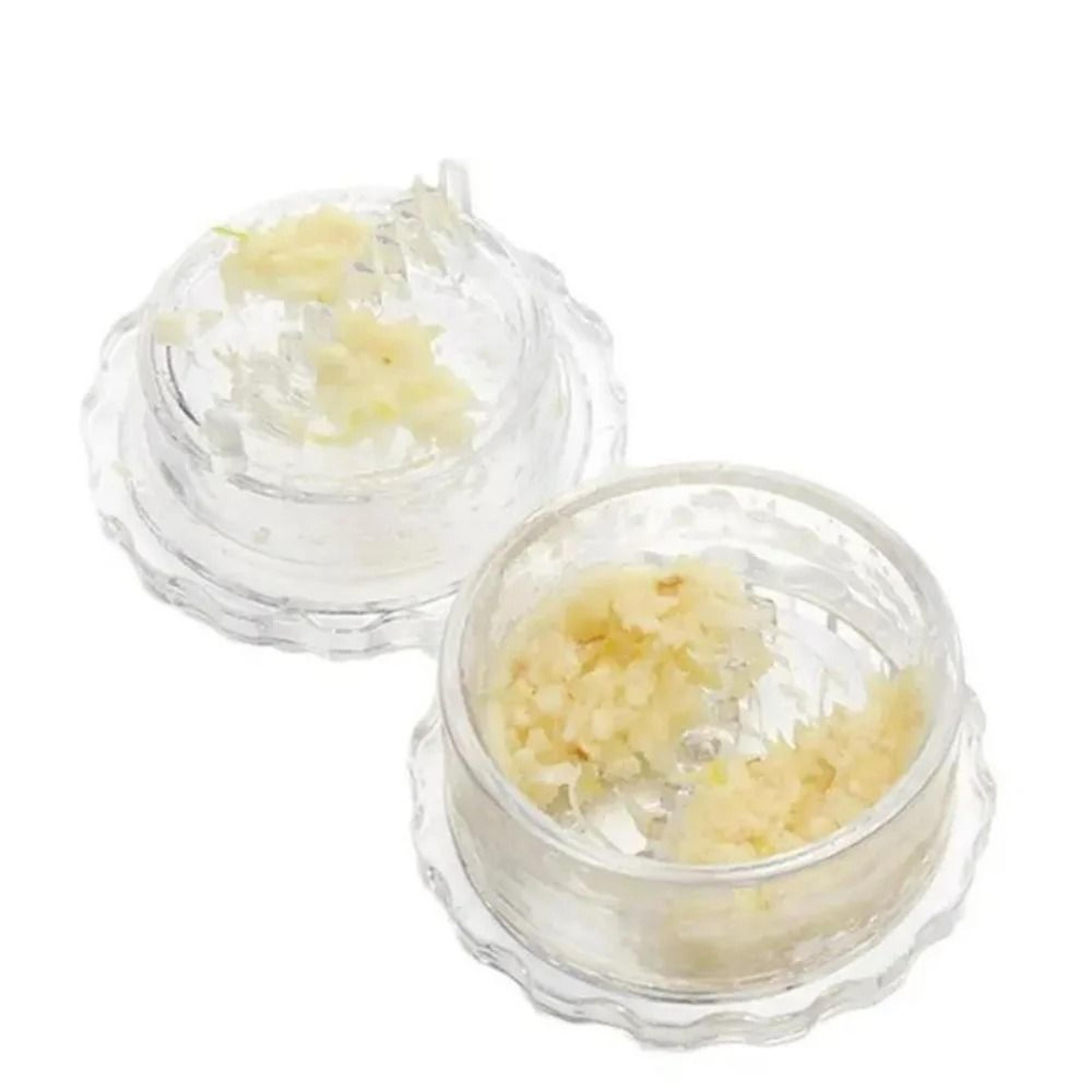Mini Garlic Press  Grinder Box Container 0