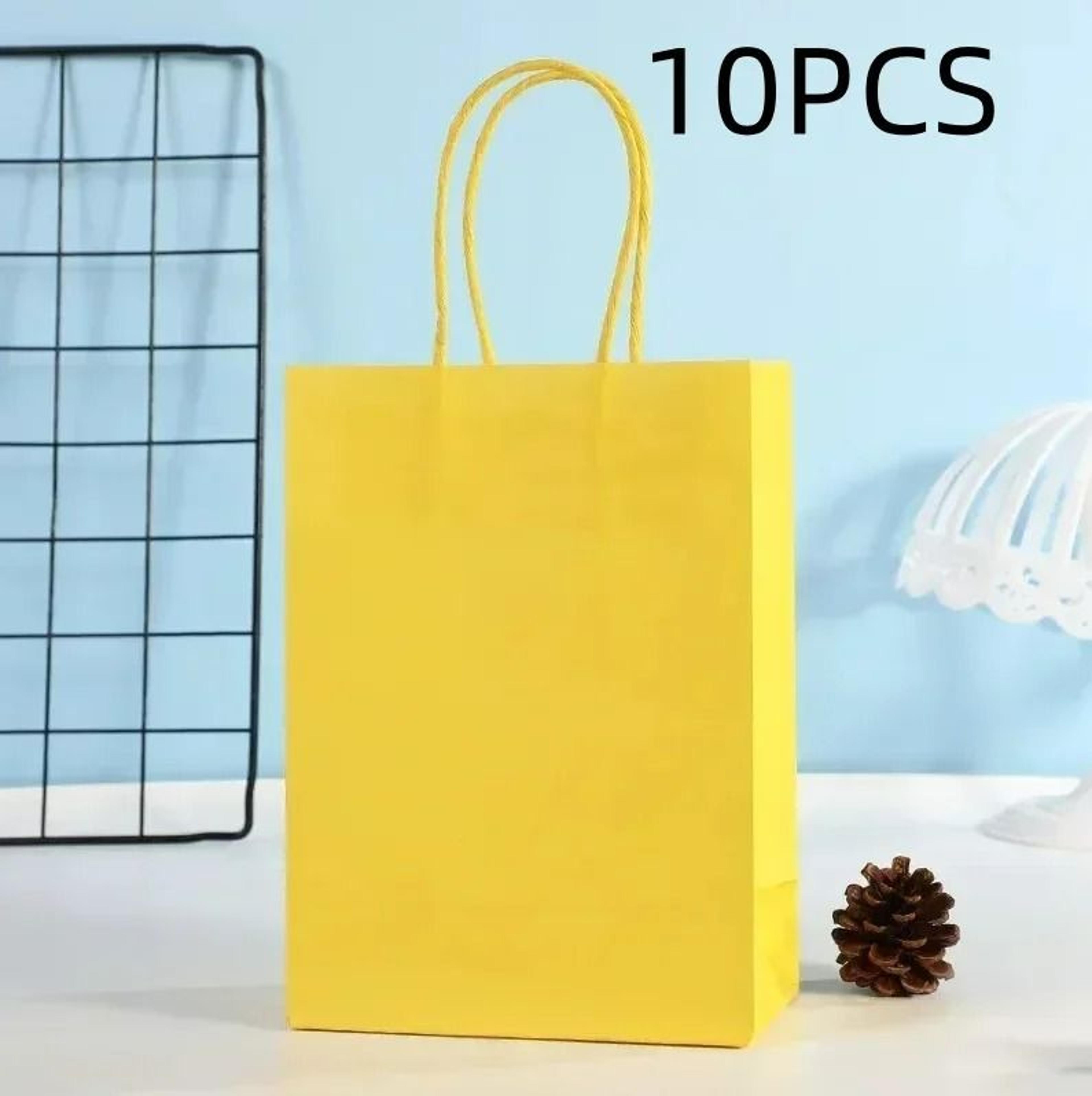 Colorful Handheld Kraft Paper Gift Bags  Pack Of 10  11