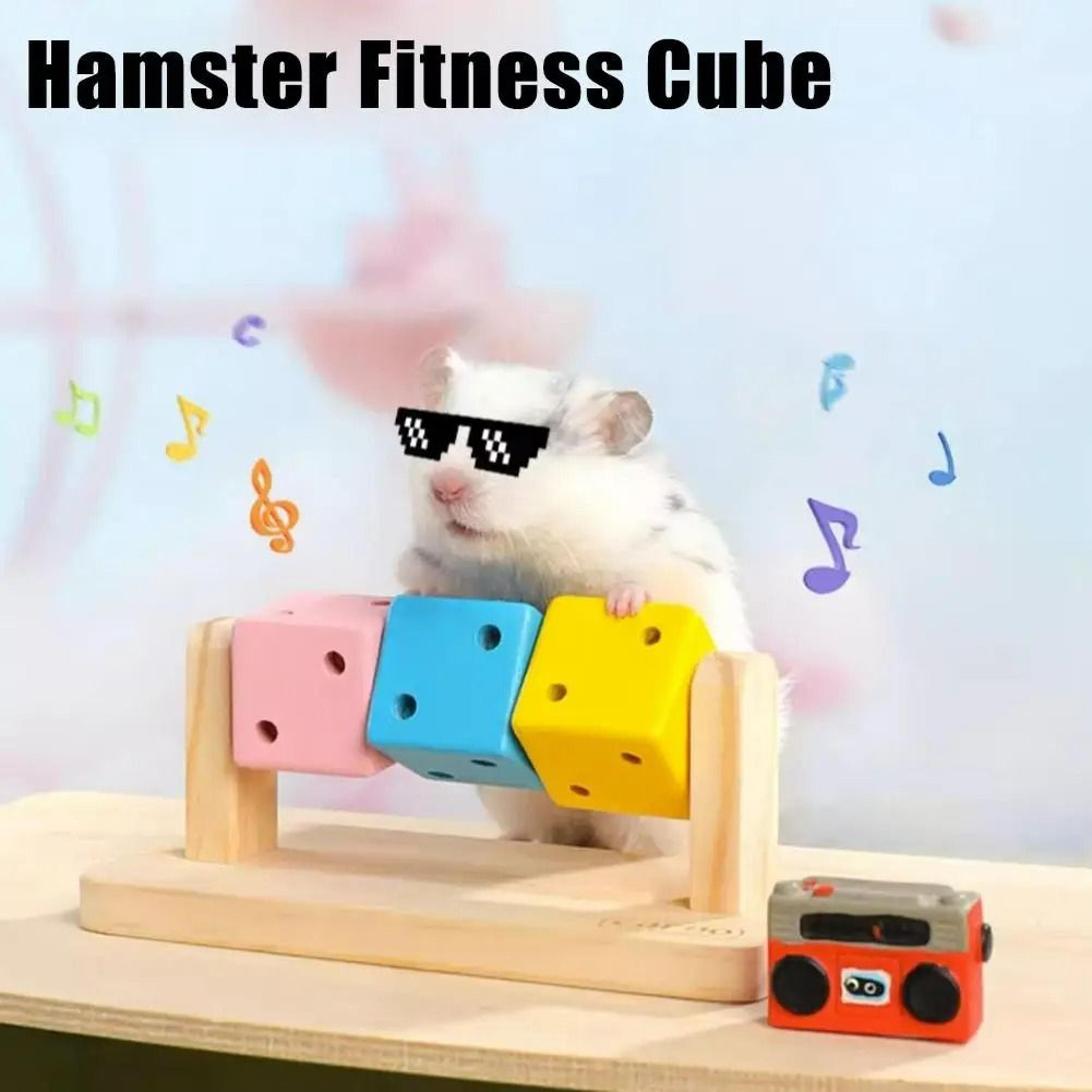 Interactive Wooden Cube Bird Chewing Toy 1