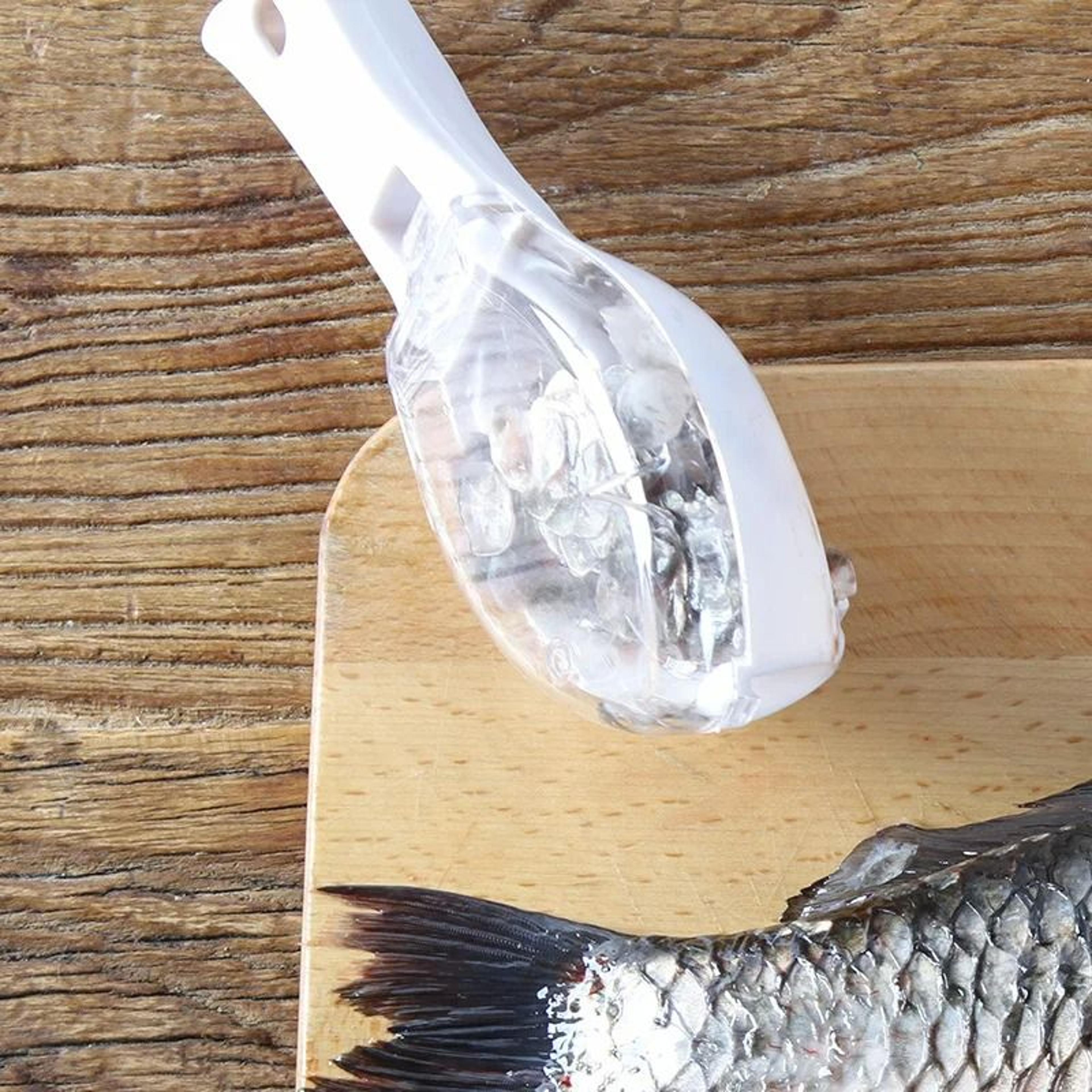 Fish Scale Scraper And MessFree Cleaning Tool 2