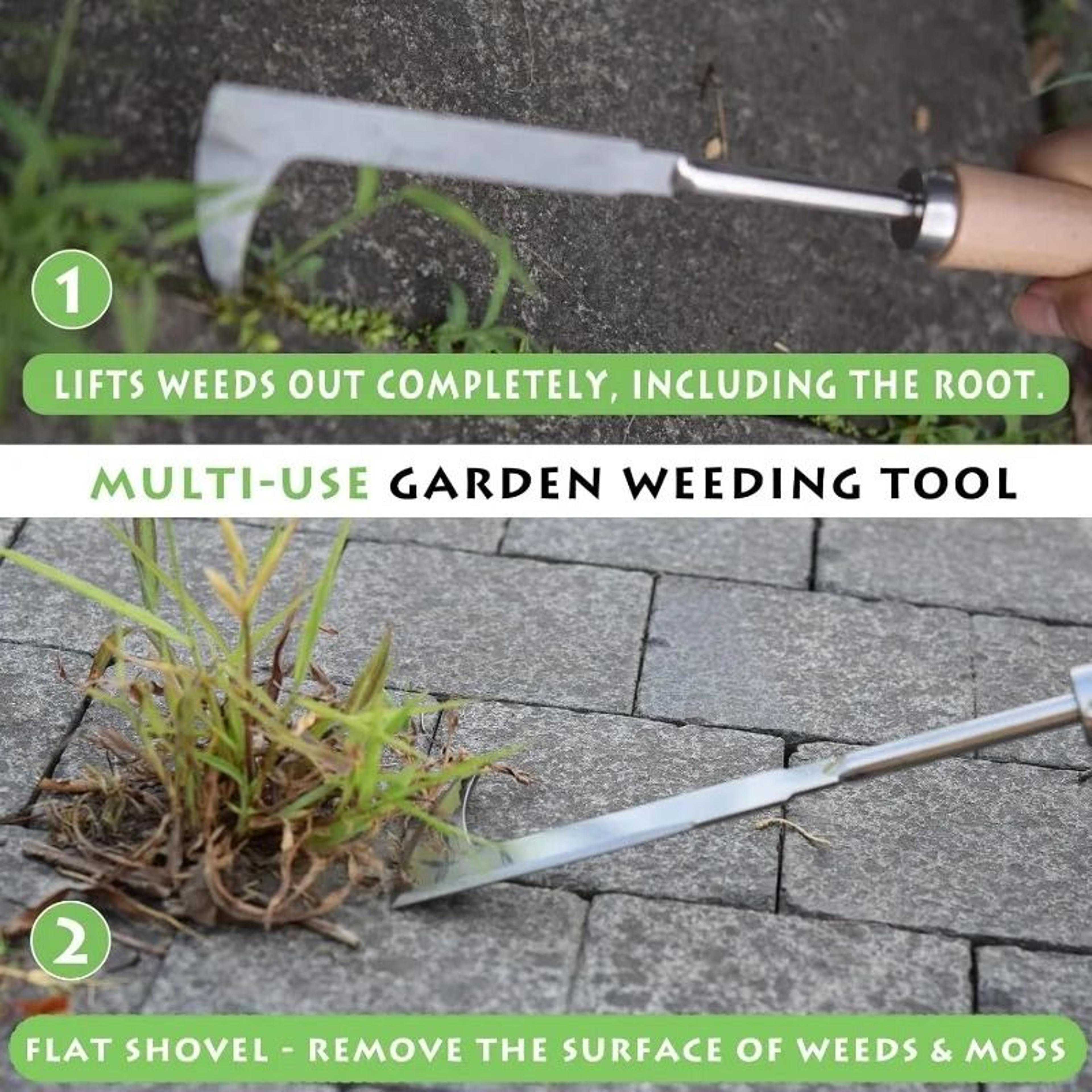 Stainless Steel LShaped Gap Weeding Tool 4
