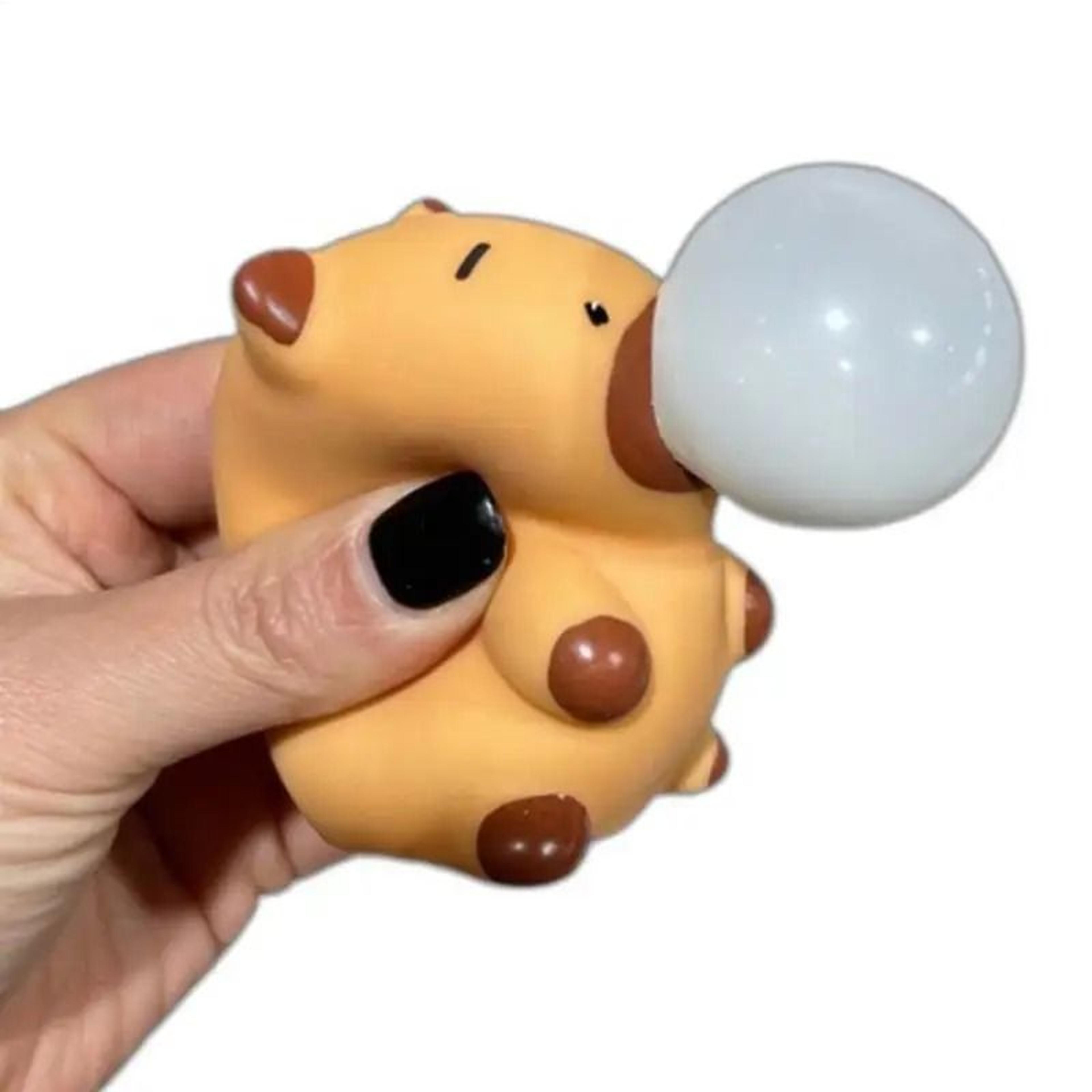cute capybara squeeze bubble toy