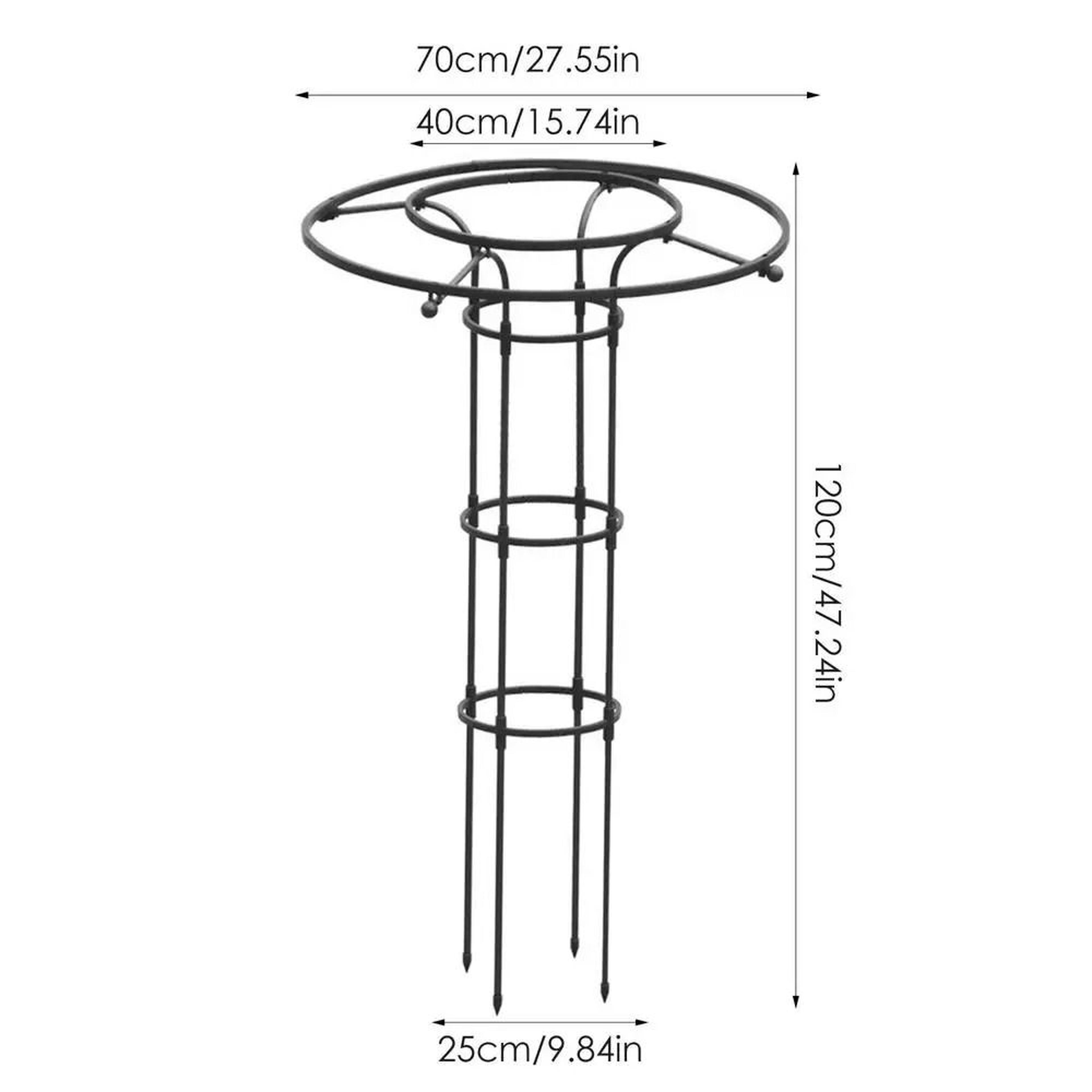 Semicircle Garden Plant Support Stakes And Climbing Trellis 10