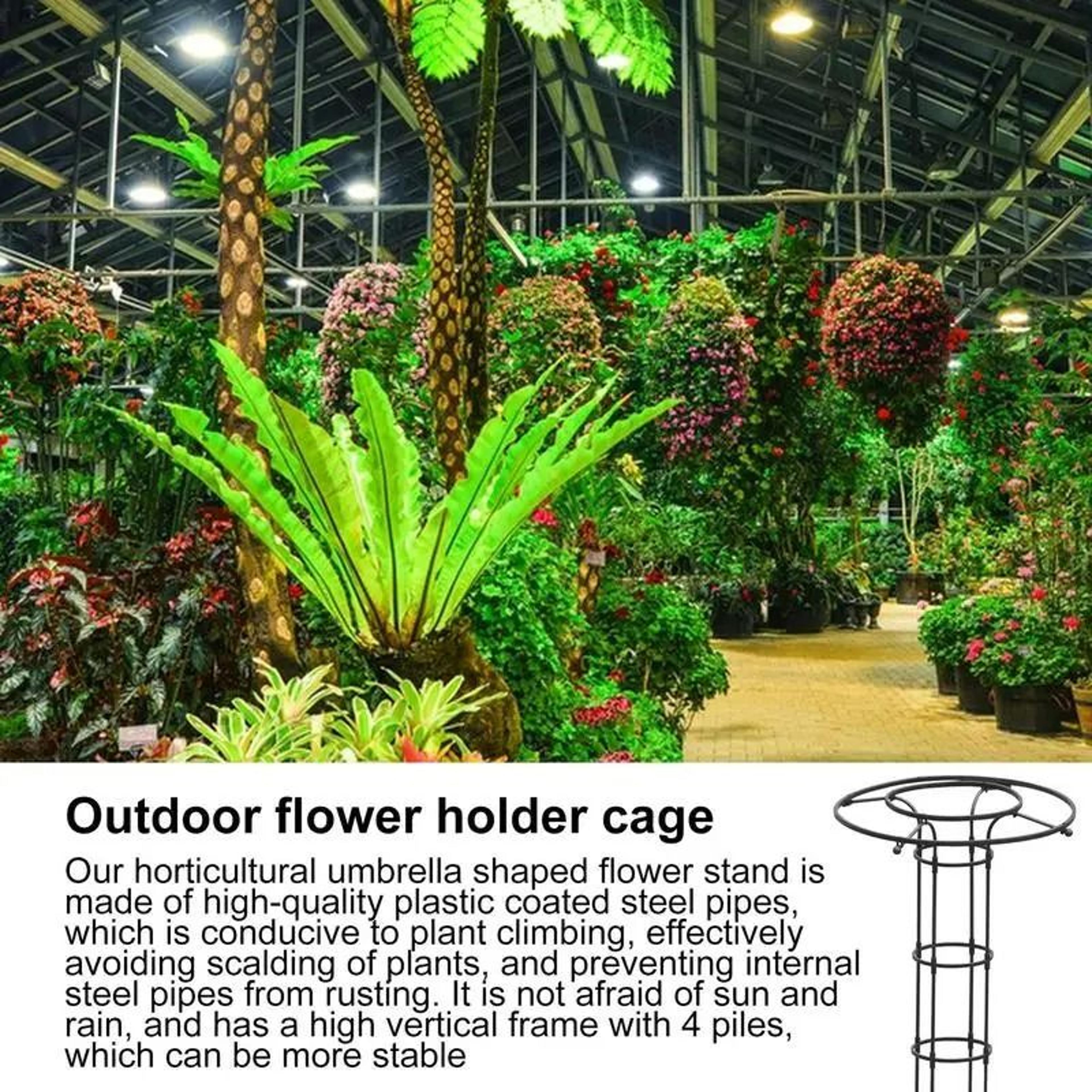 Semicircle Garden Plant Support Stakes And Climbing Trellis 5