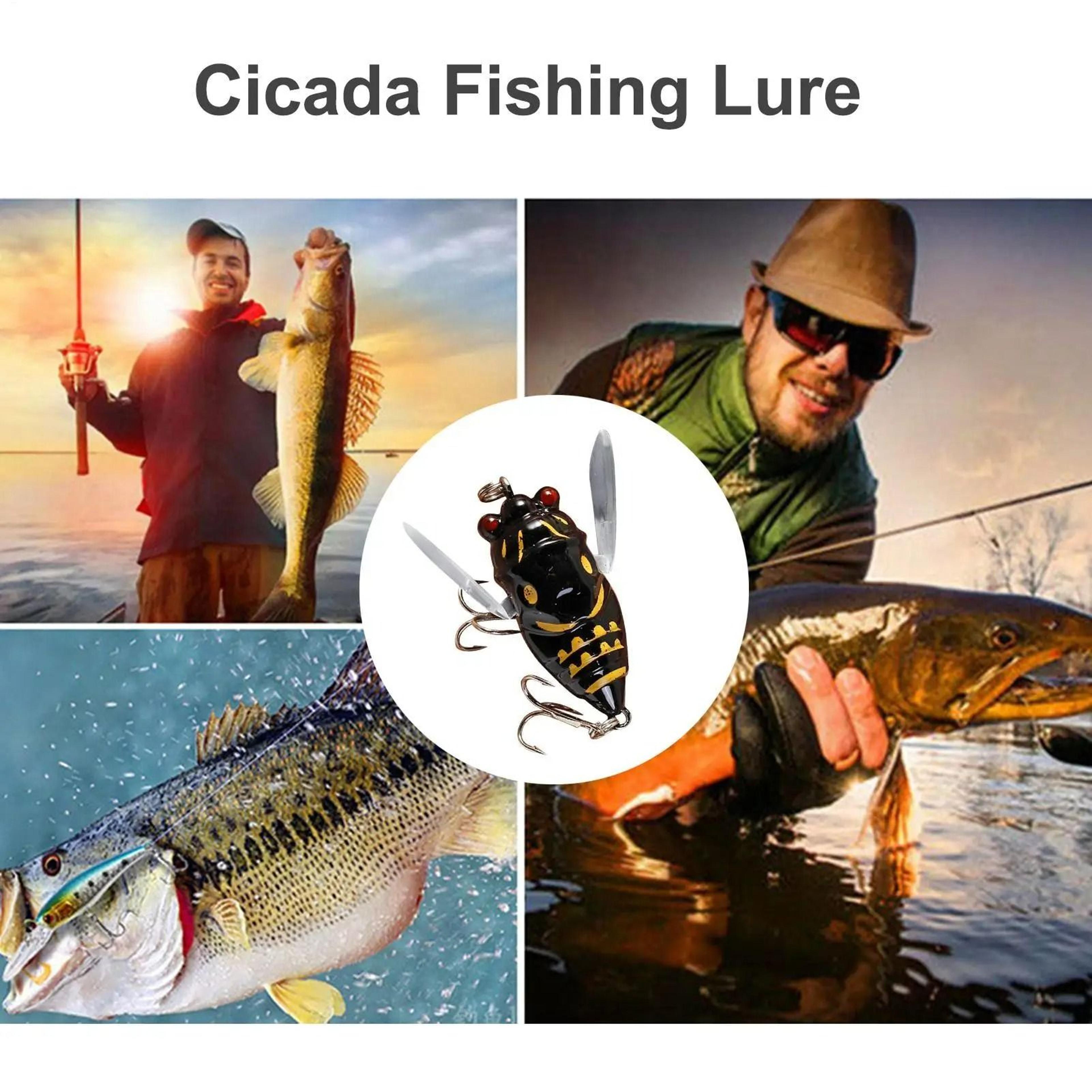 Realistic Topwater Cicada Fishing Lure 1