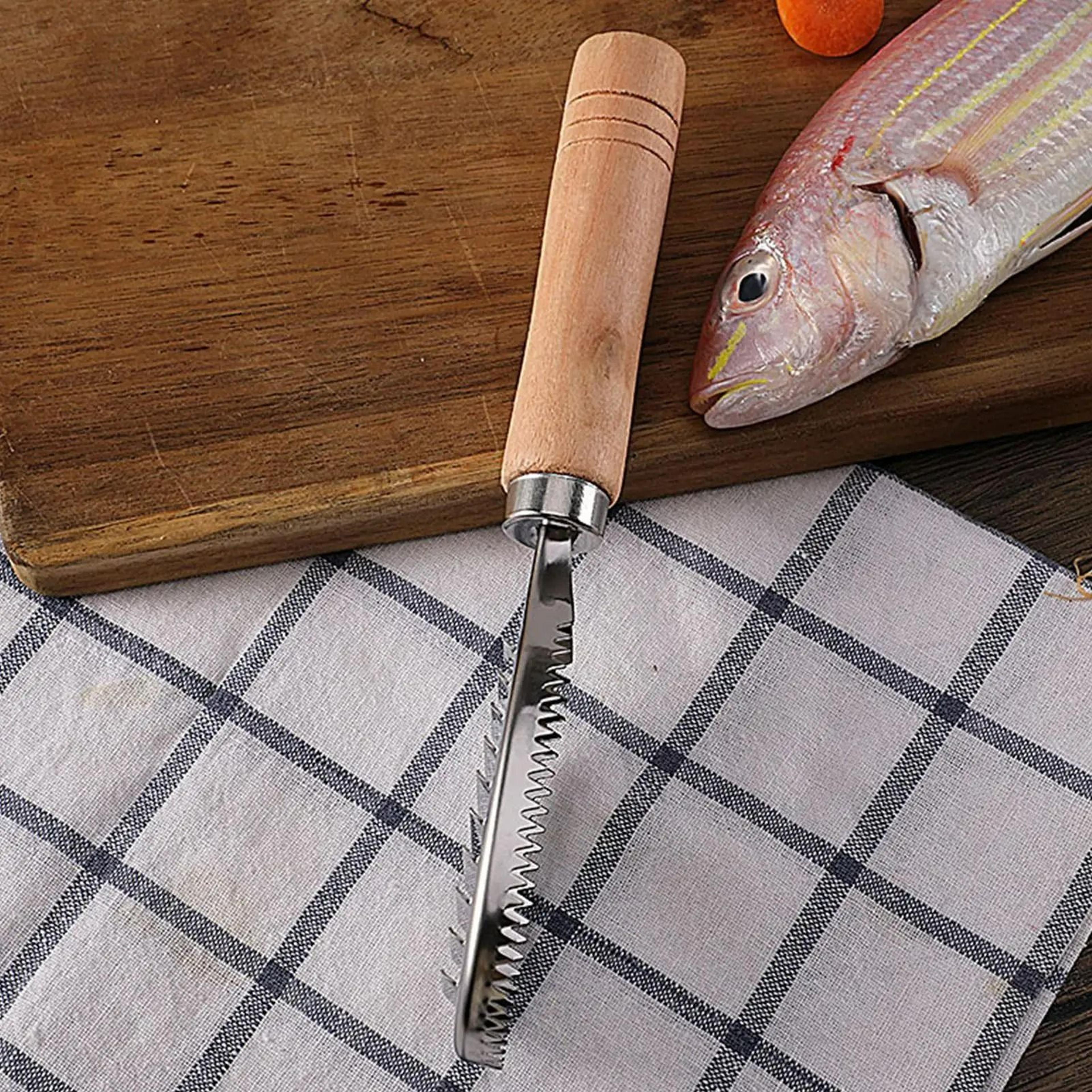 Stainless Steel Fish Scaler Remover And Cleaner 3