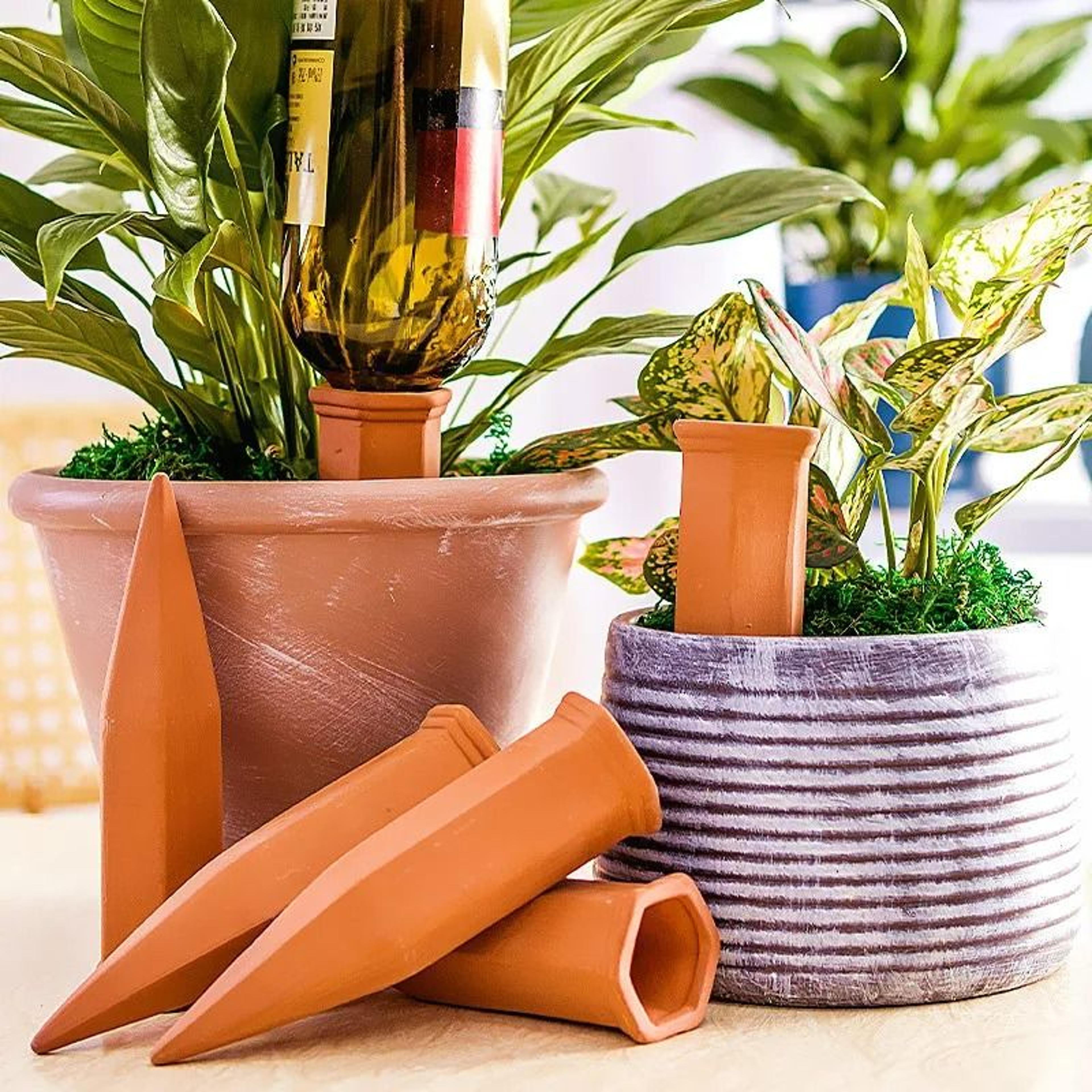 4-pack terracotta plant self-watering stakes & automatic irrigation spikes