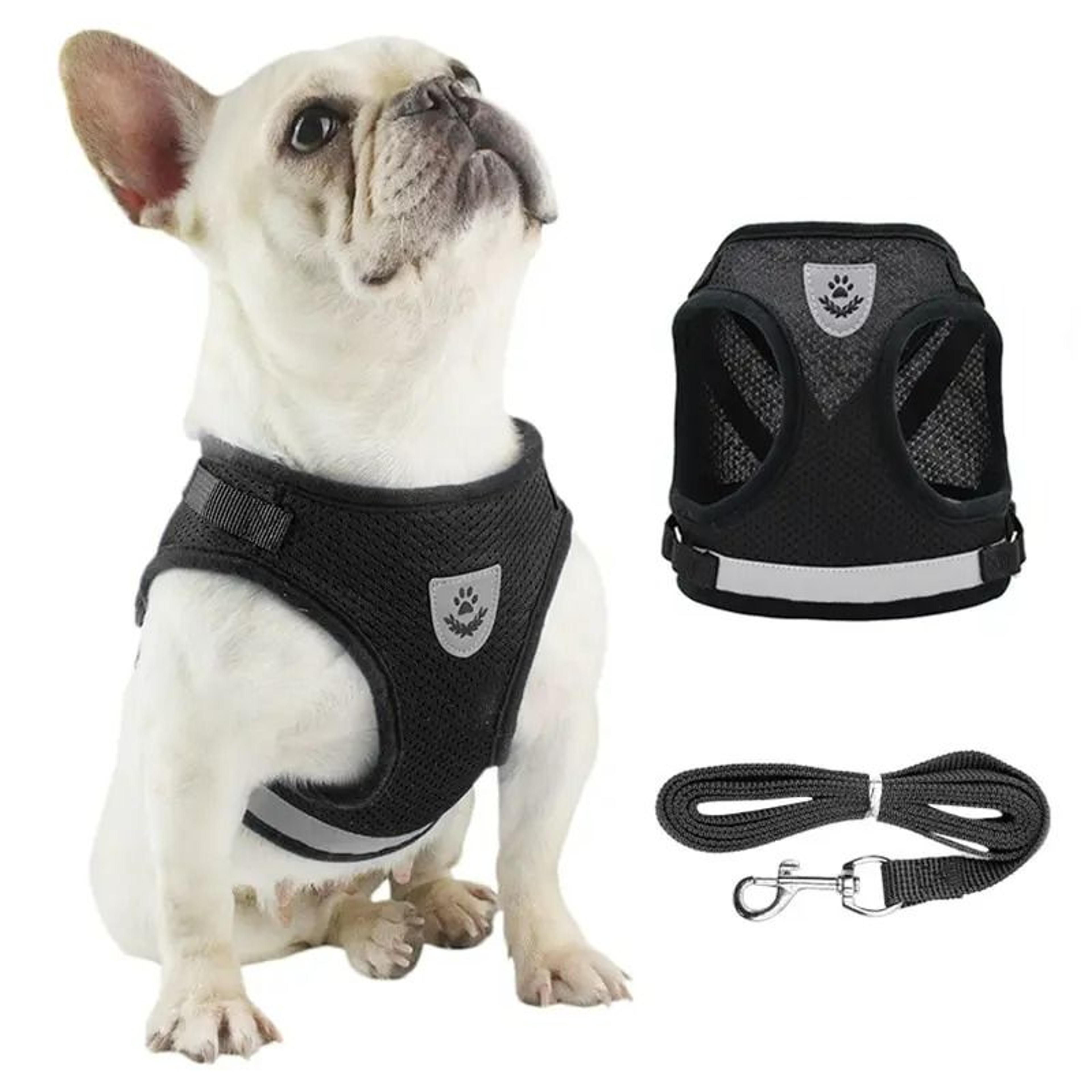 Breathable Mesh Reflective Dog Harness And Leash Set 0