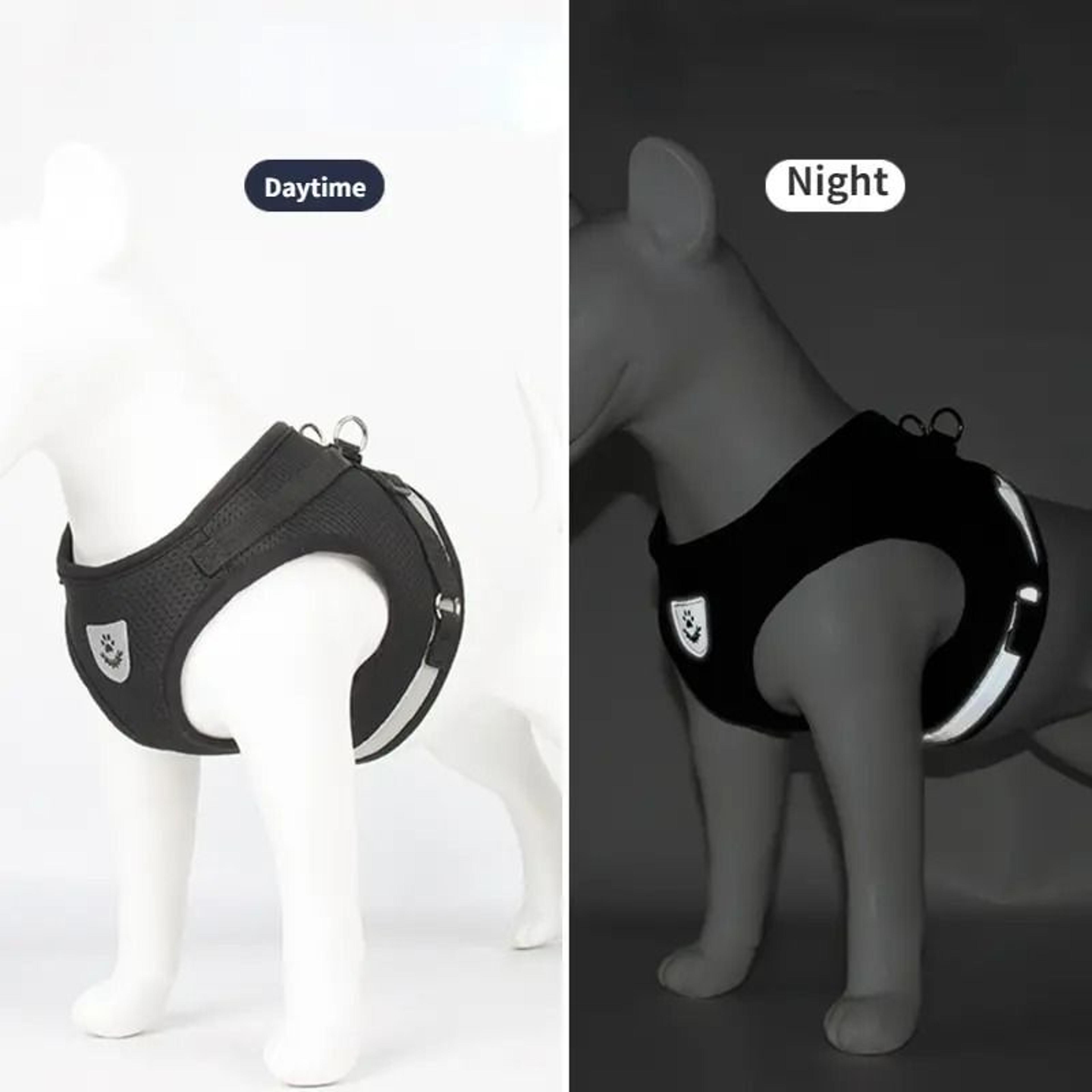 Breathable Mesh Reflective Dog Harness And Leash Set 2