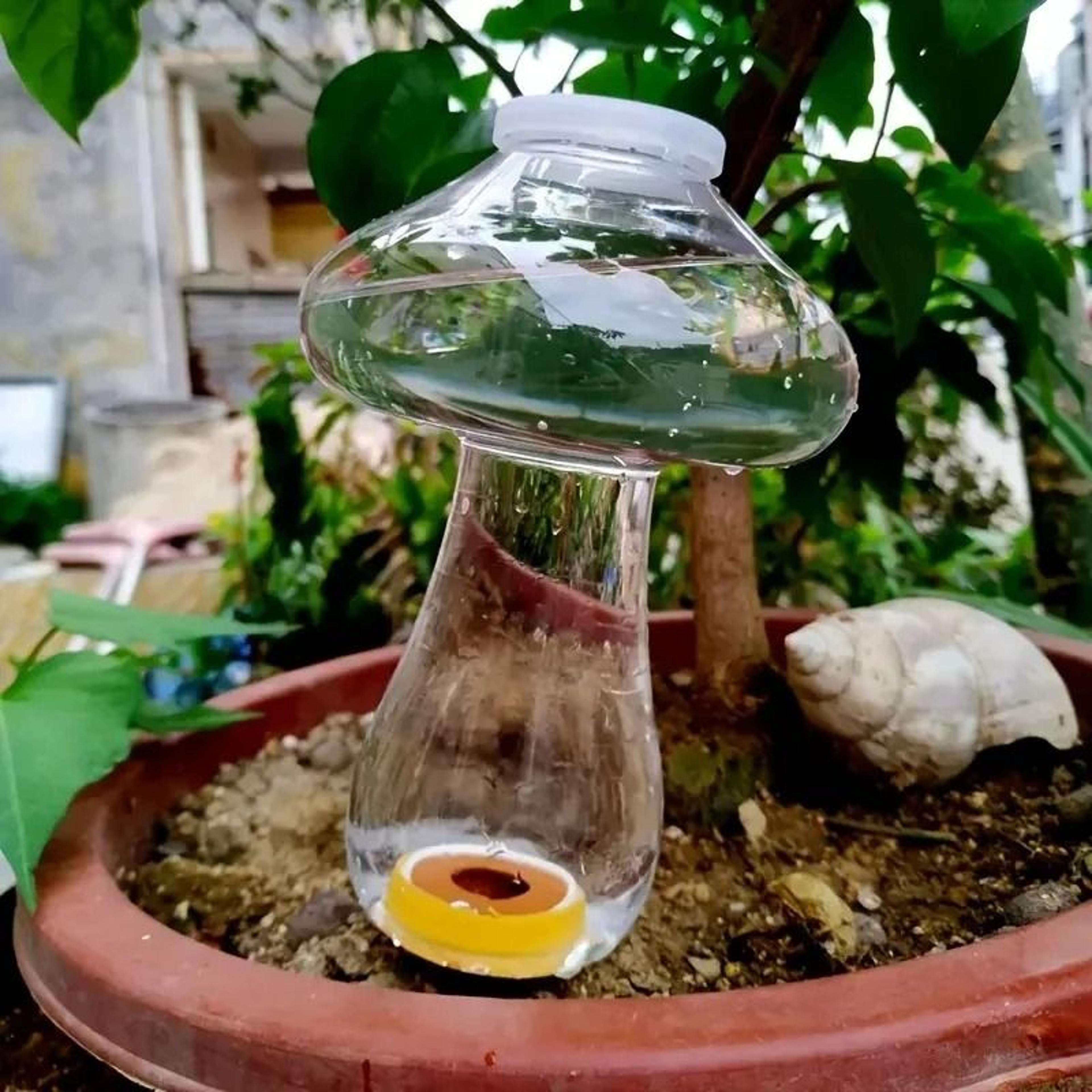 love-shaped automatic plant waterer & drip irrigation stake