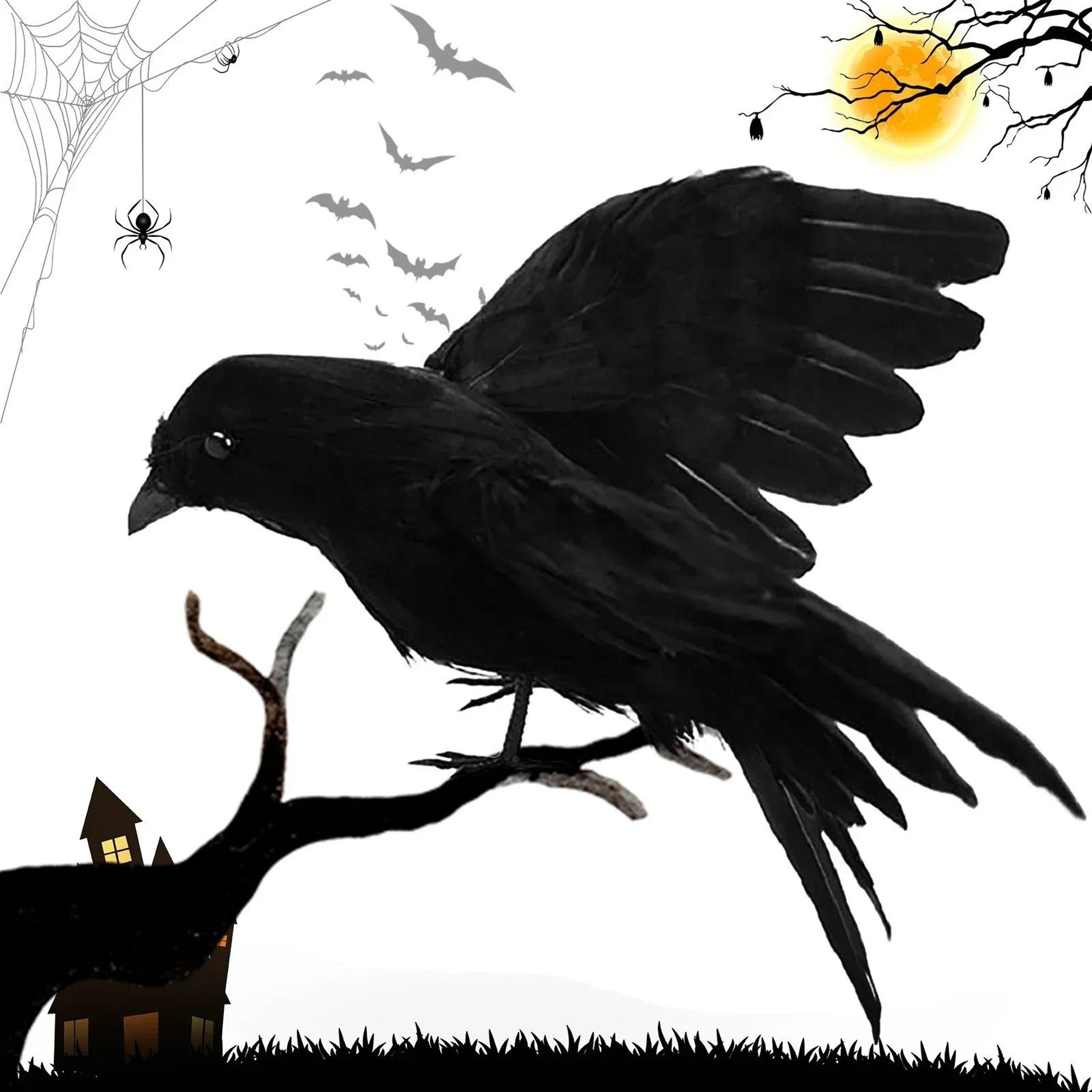 Lifelike Feathered Black Raven  Crow Prop 2