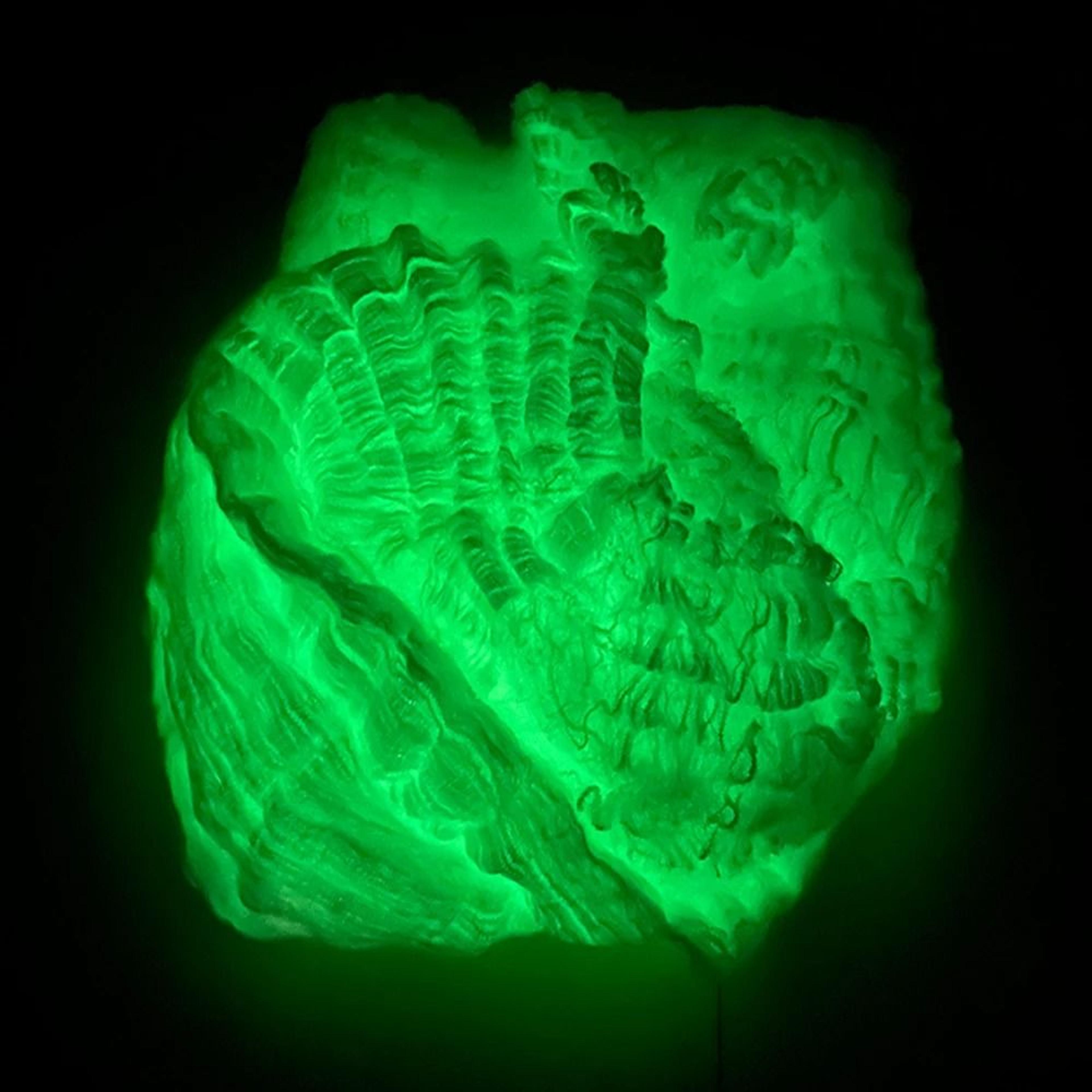GlowintheDark Fluorescent Halloween Spider Web Cobwebs 6