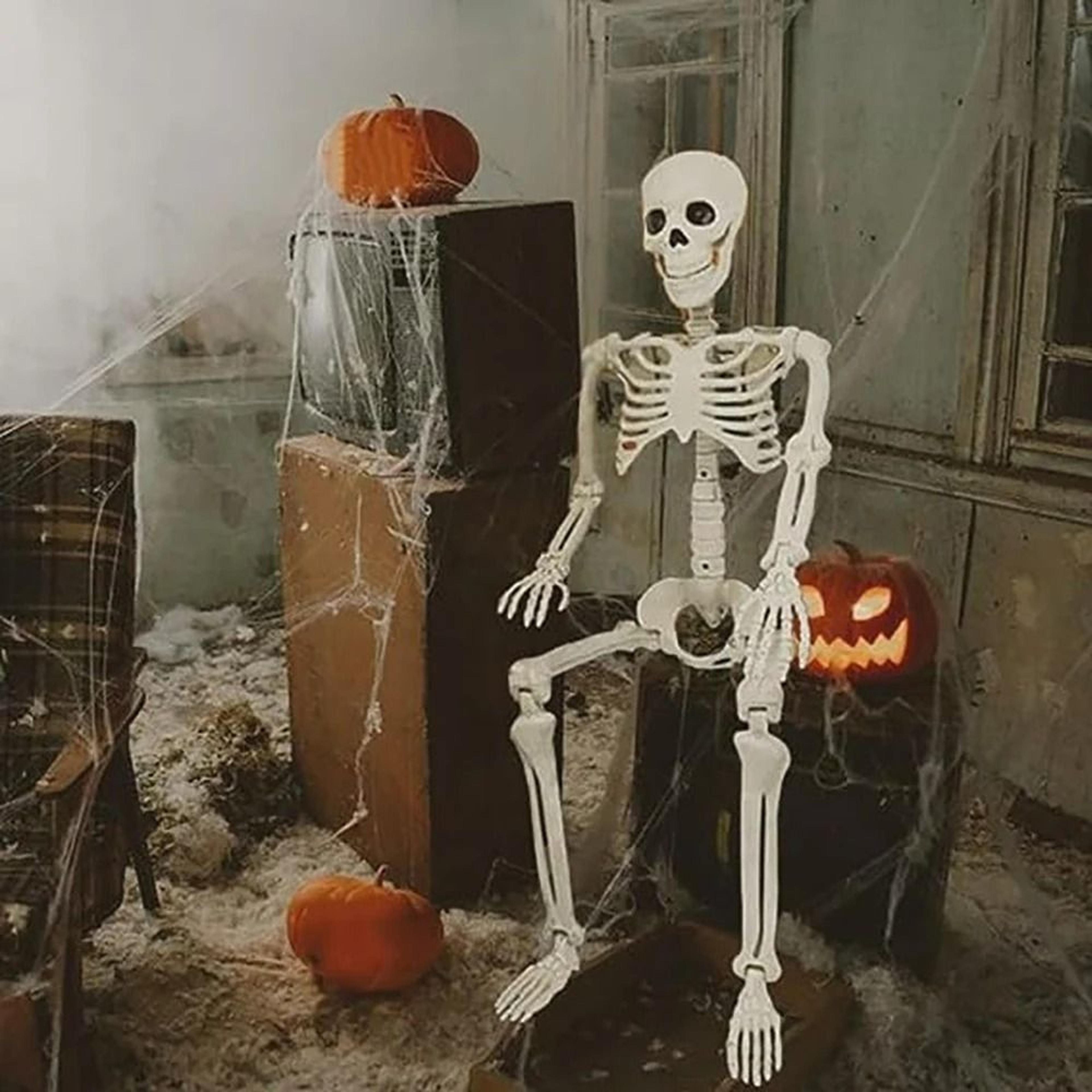 Posable FullBody Halloween Human Skeleton Prop 5