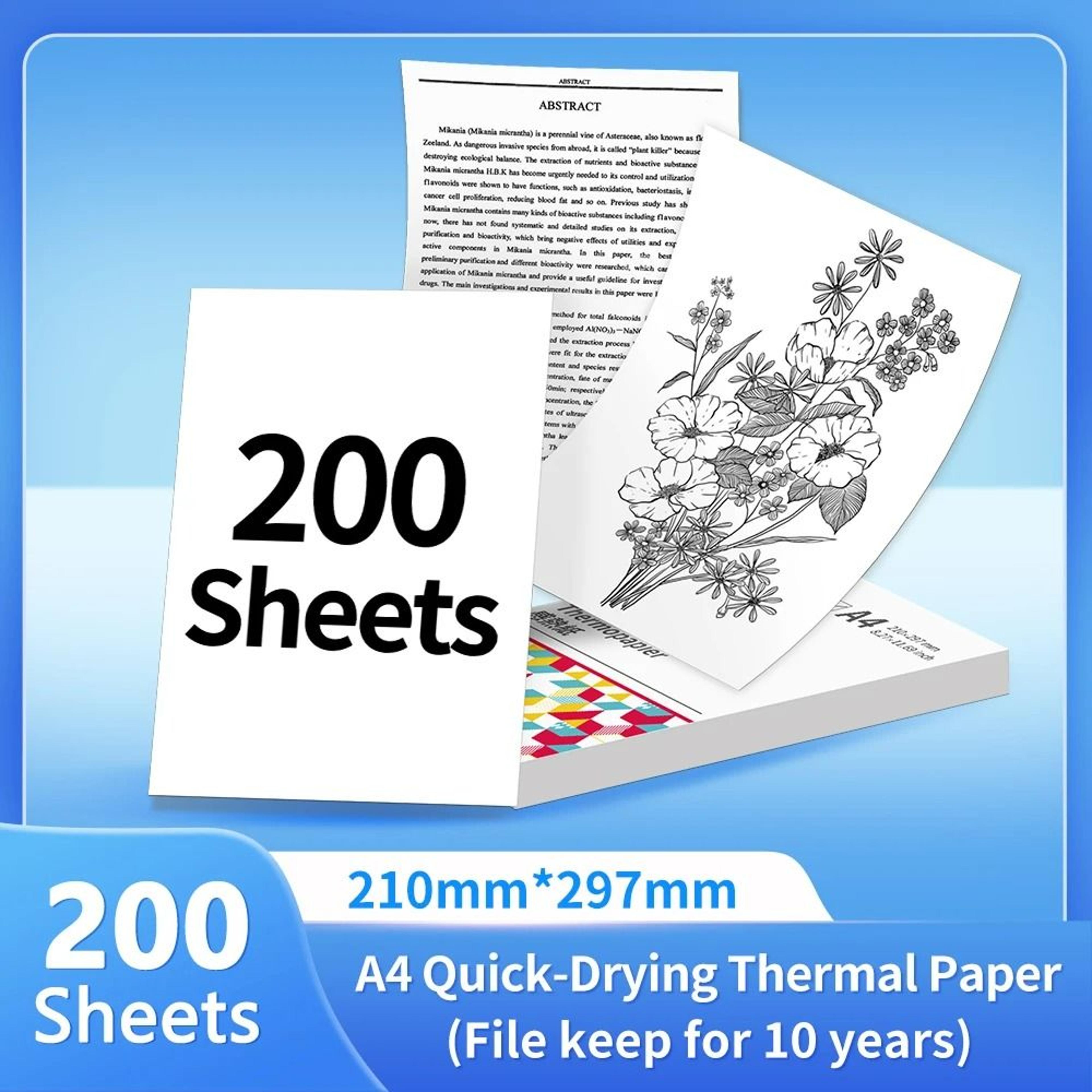 80m3 Rolls A4 Paper 2 Rolls A4 Paper 4 Rolls 110m3 Rolls 200 Fold Paper Letter 2 Rolls Letter 4 Rol 10