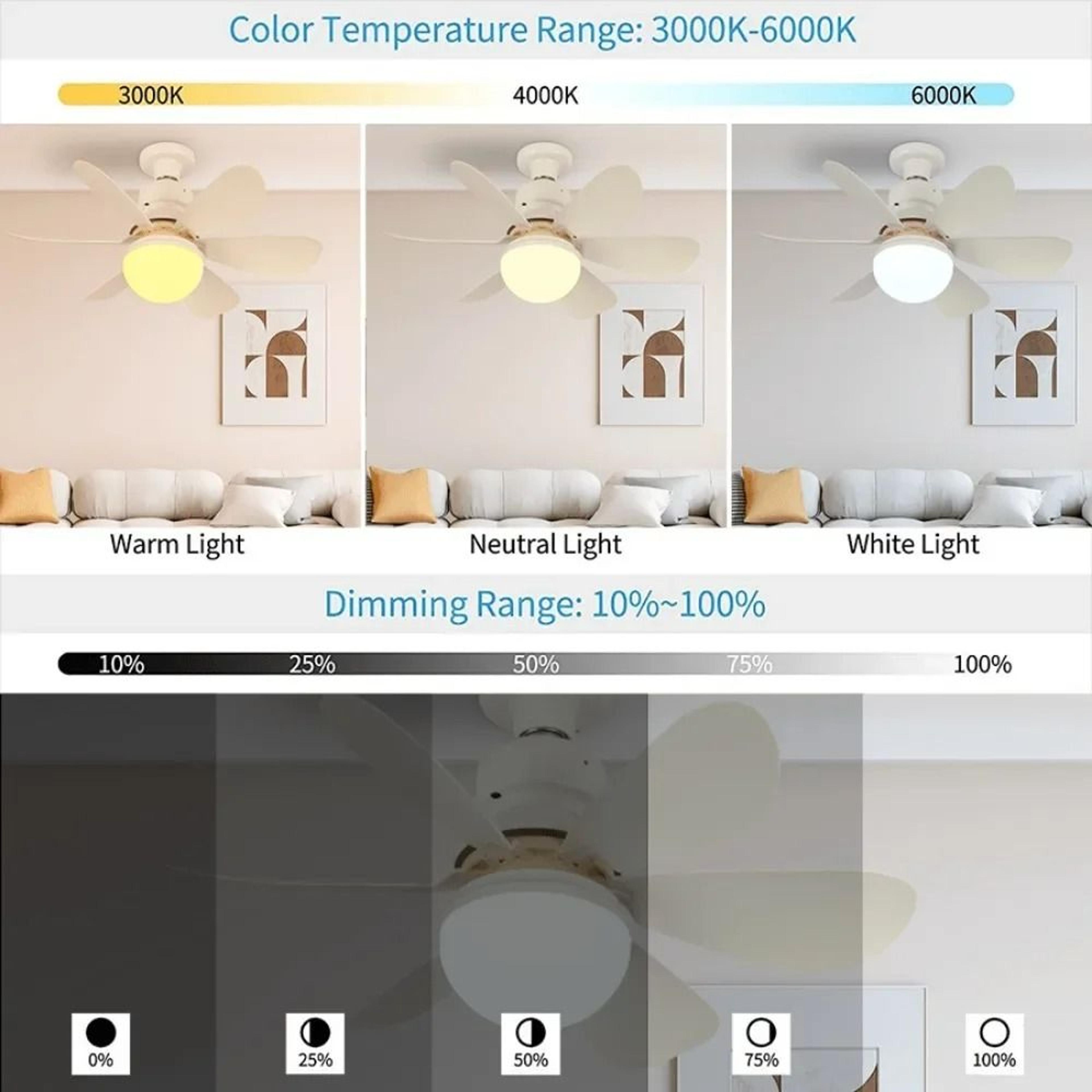Modern 6Blade Silent LED Ceiling Fan Light With Remote 30W  40W 4