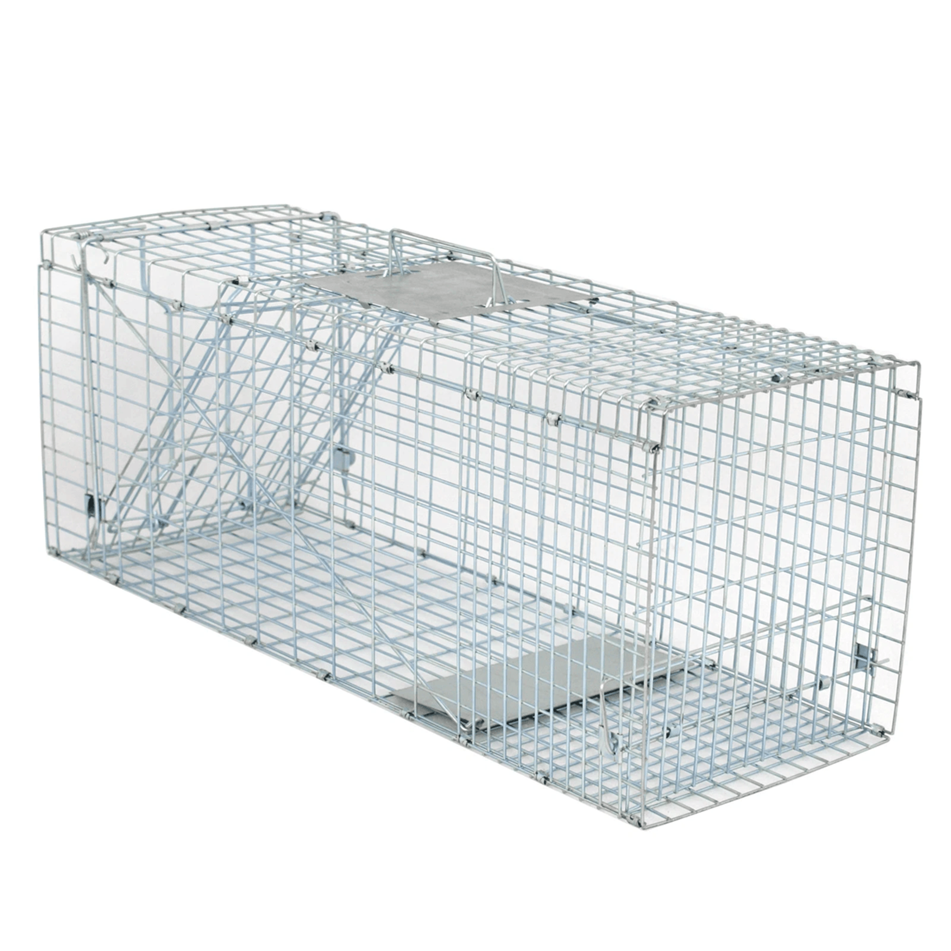 heavy duty live animal trap cage for raccoons skunks and small wildlife
