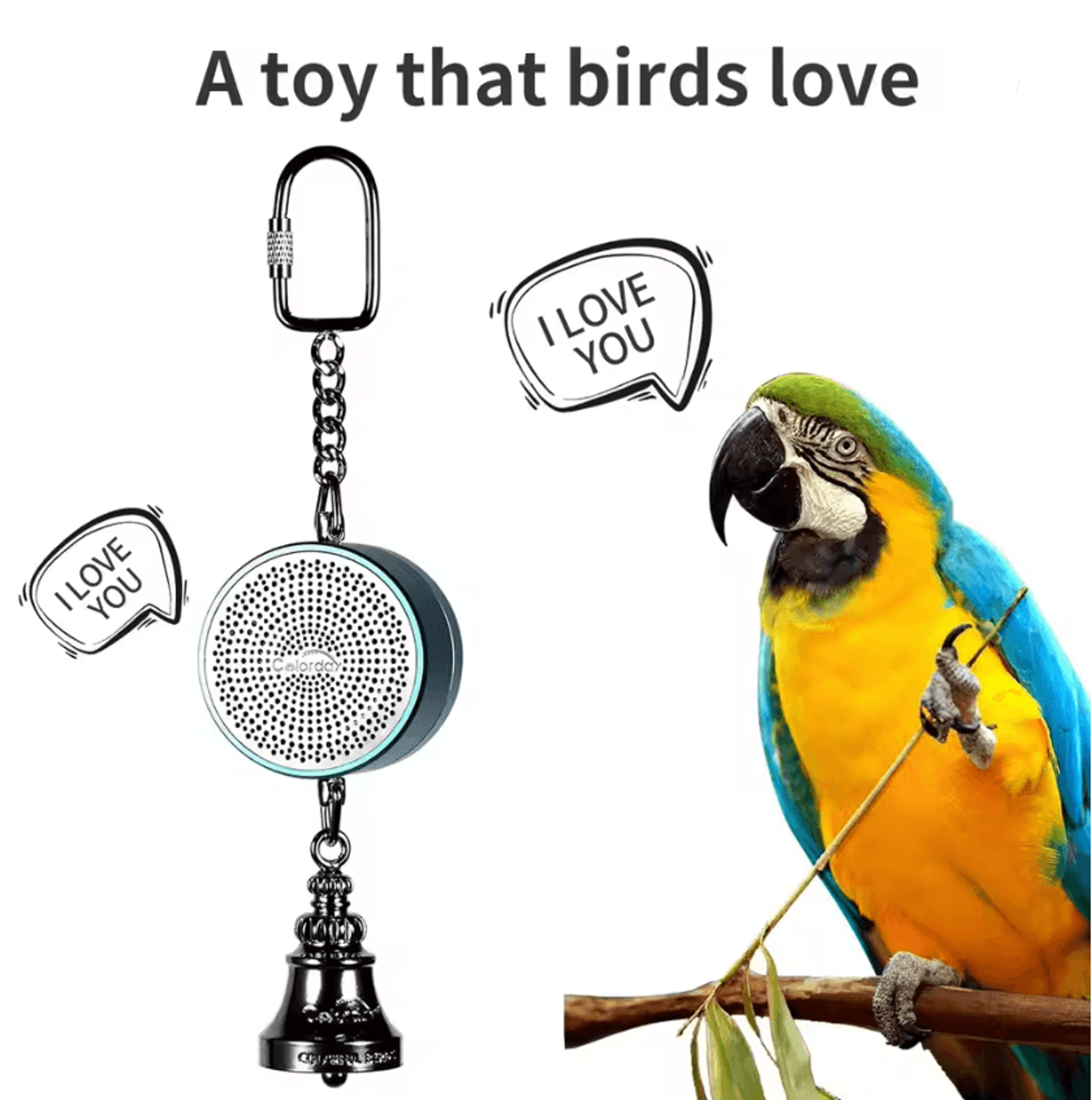 Parrot Talking Coach Interactive Voice Recording Toy With Bell 2