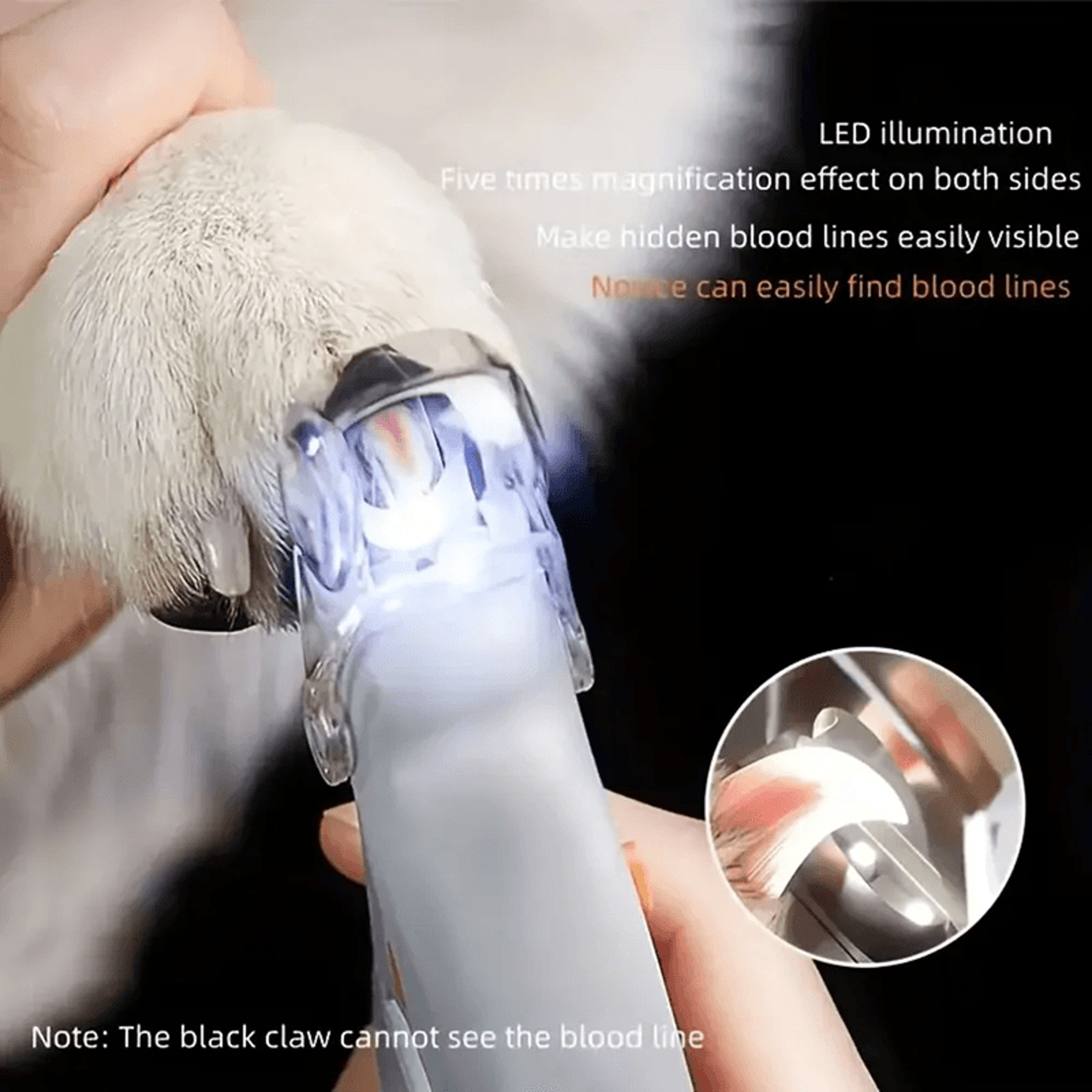PawBright LED Pet Nail Clippers With Magnifier 5