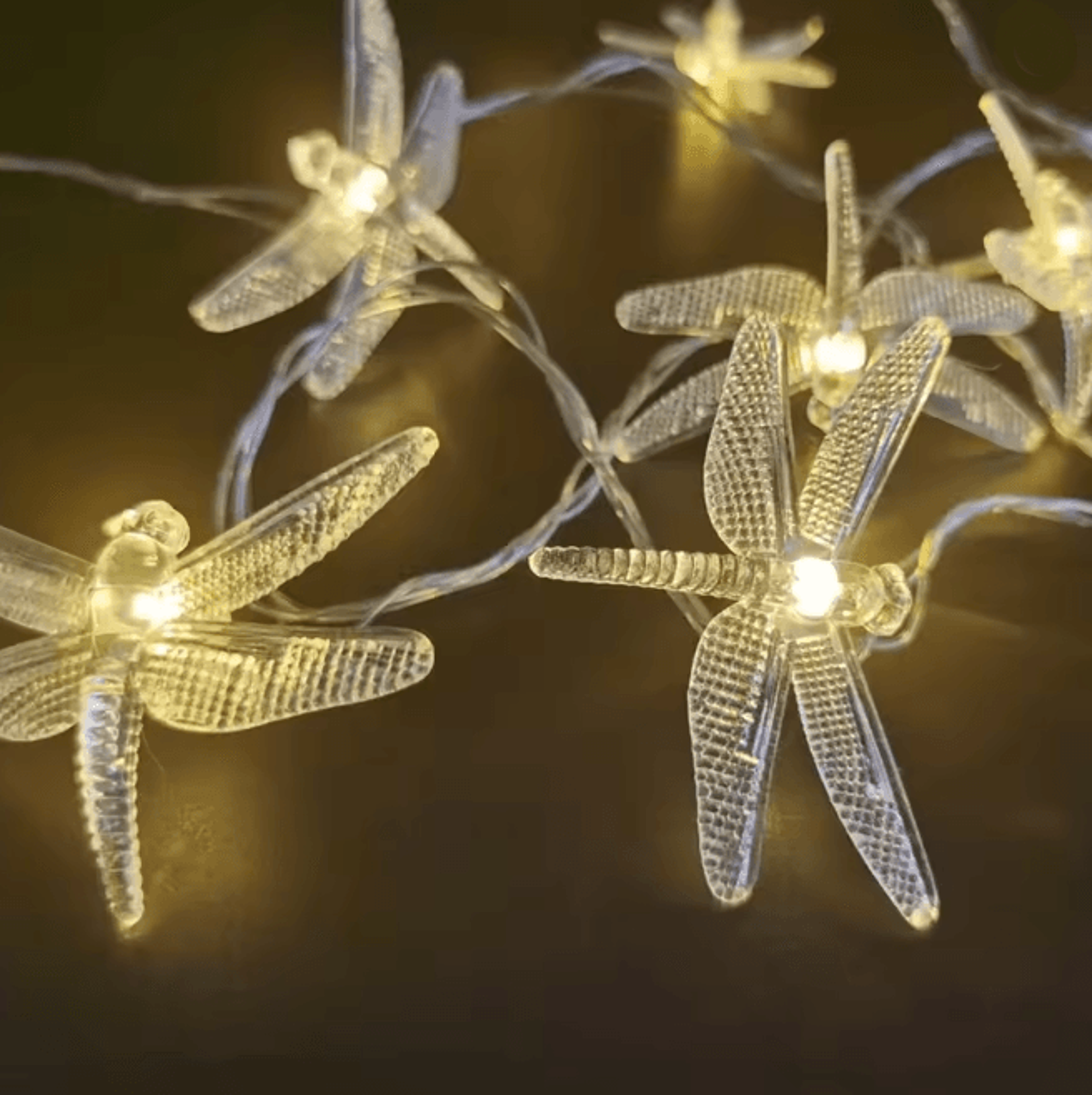 FairyGlow Battery Powered String Light 1