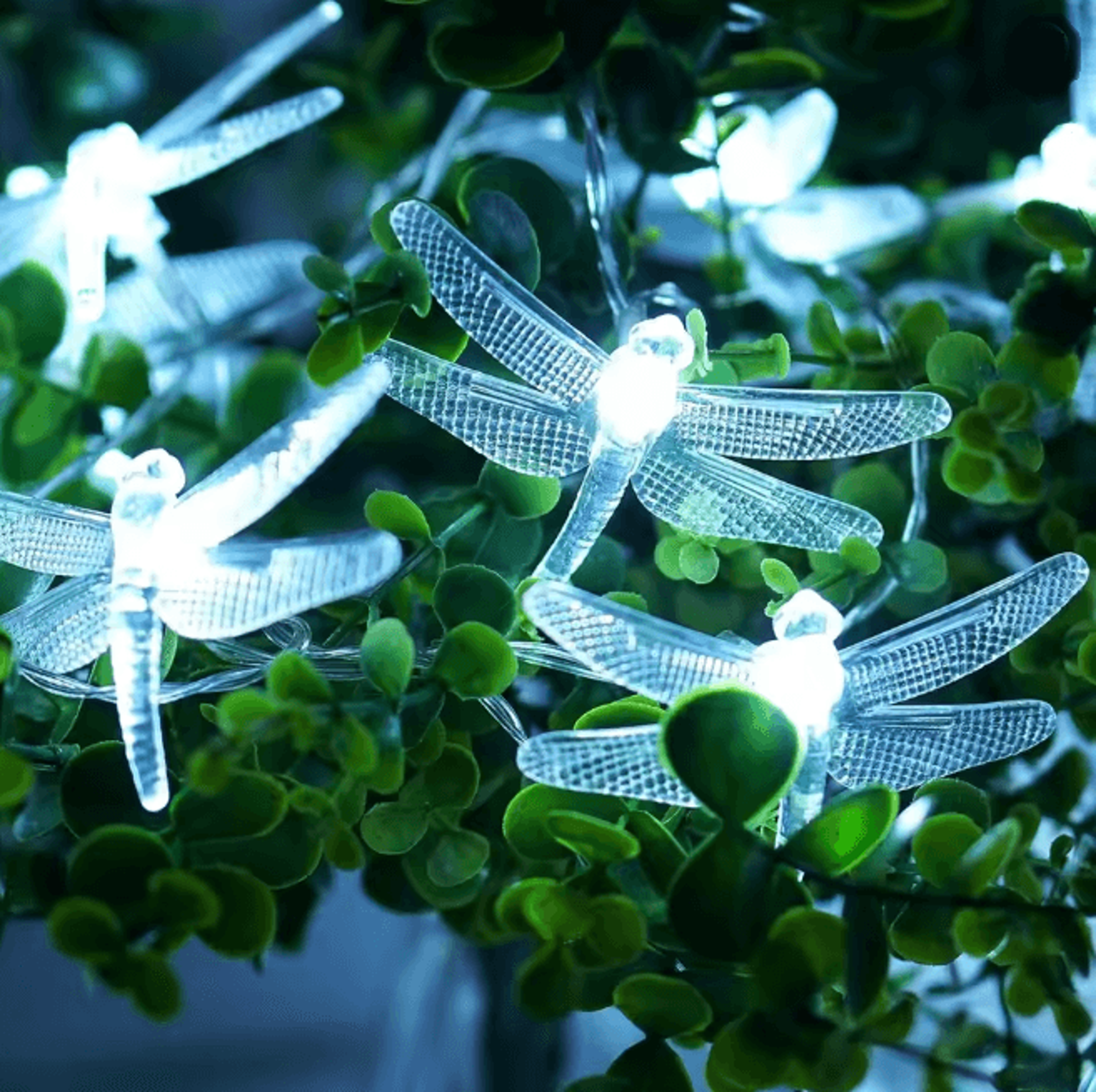FairyGlow Battery Powered String Light 6