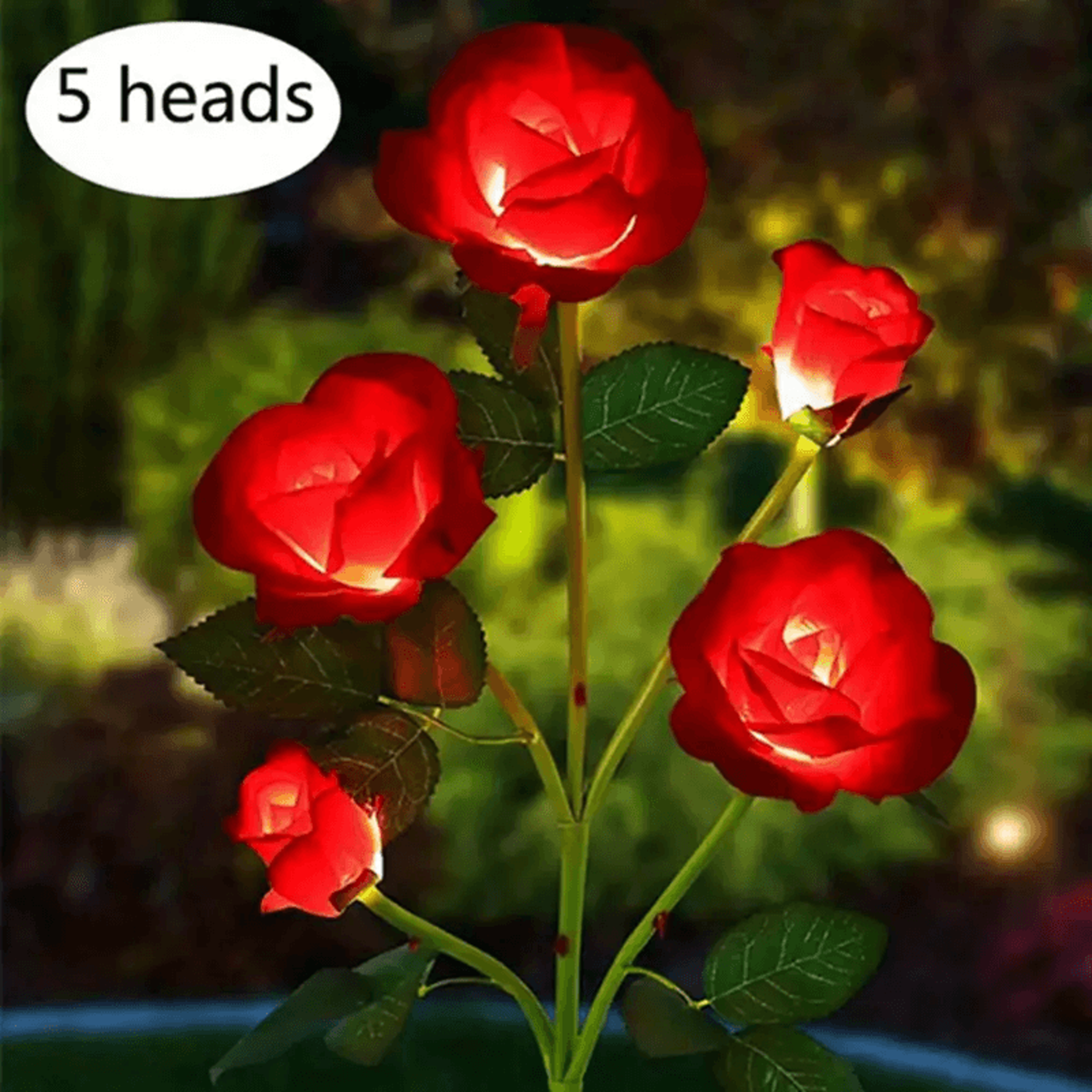 Solar Bloom Rose Garden Lights 4