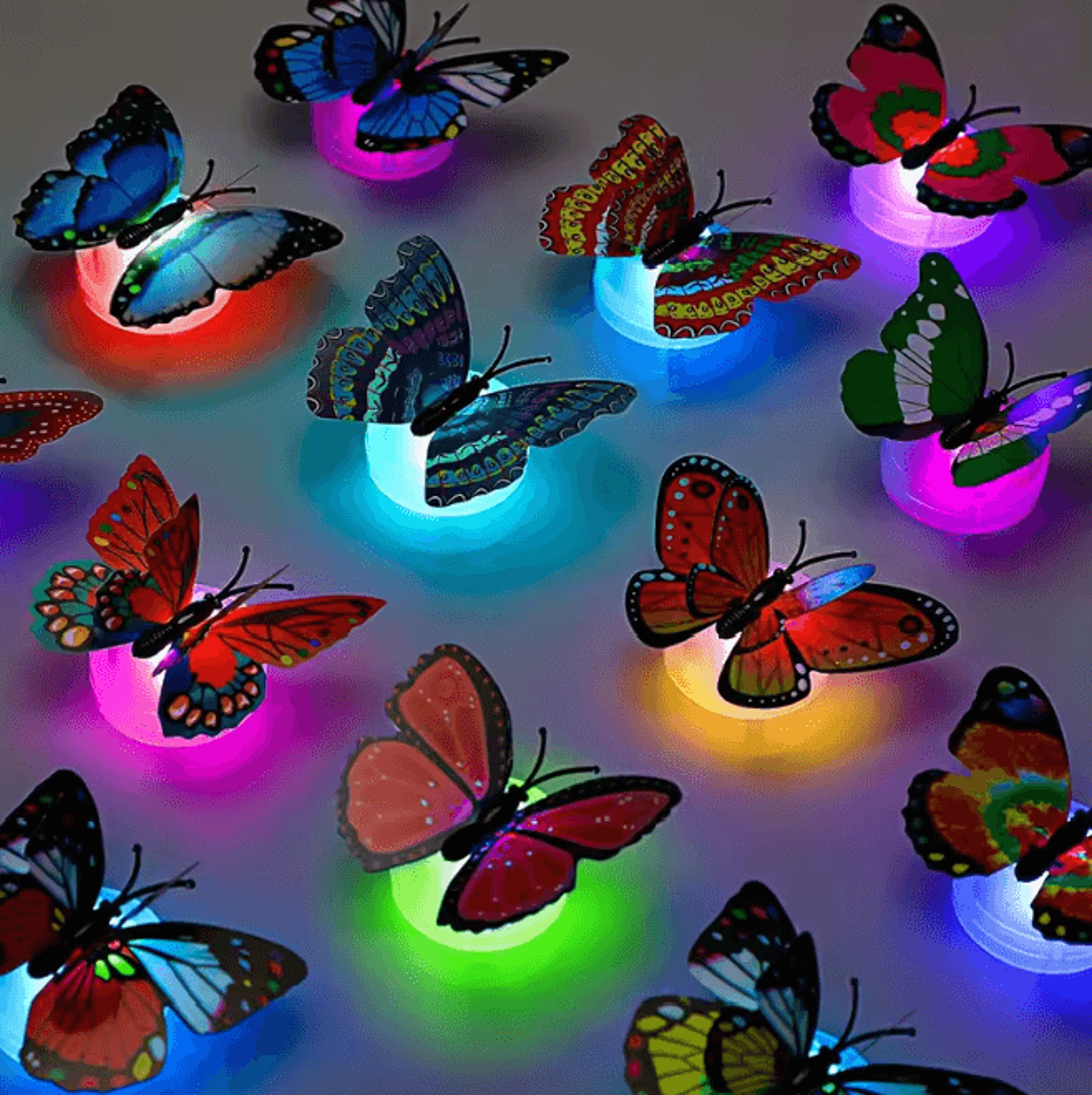 LED Butterfly Wall Night Light Set 0