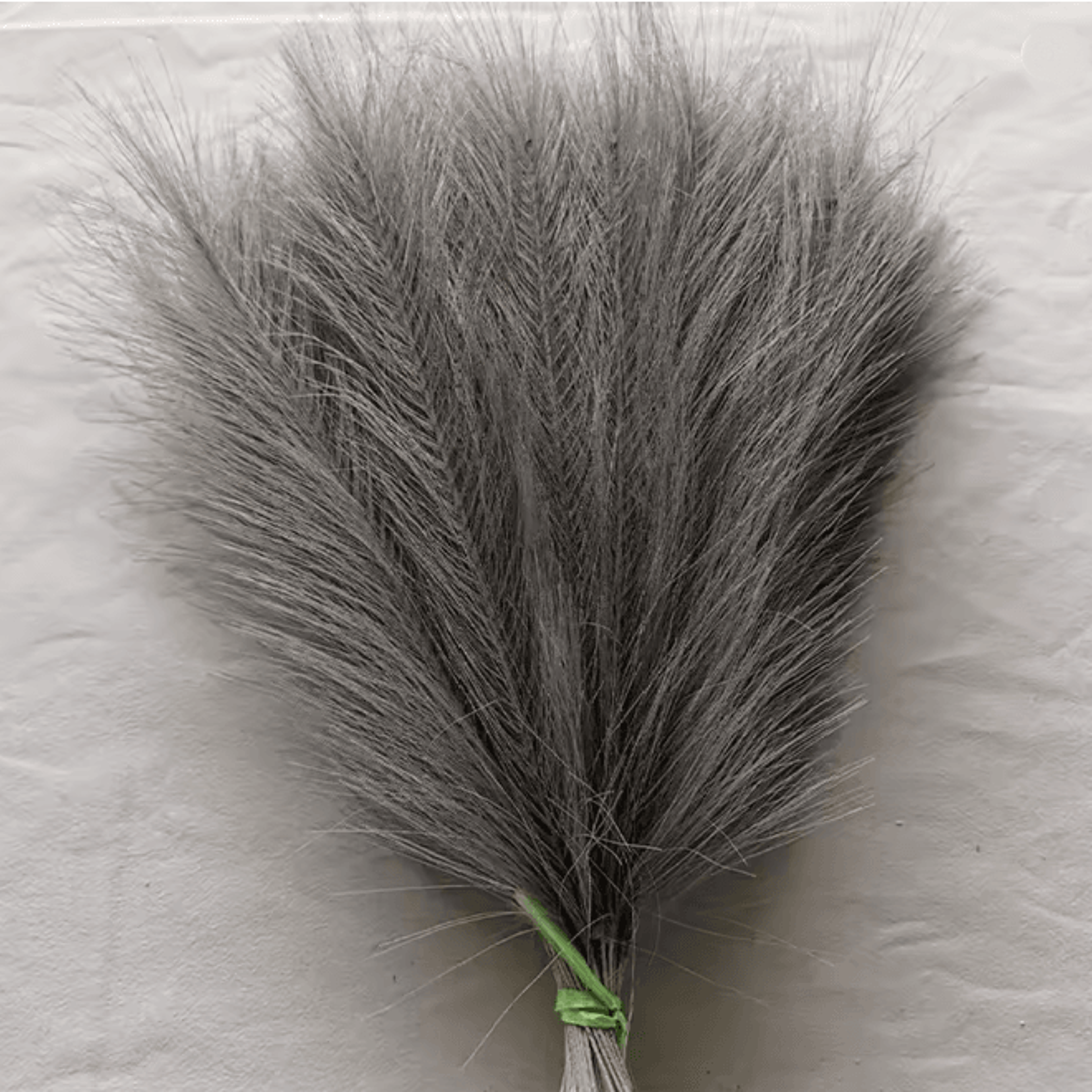 Fluffy Pampas Grass Stems For Boho Home And Event Decor 11