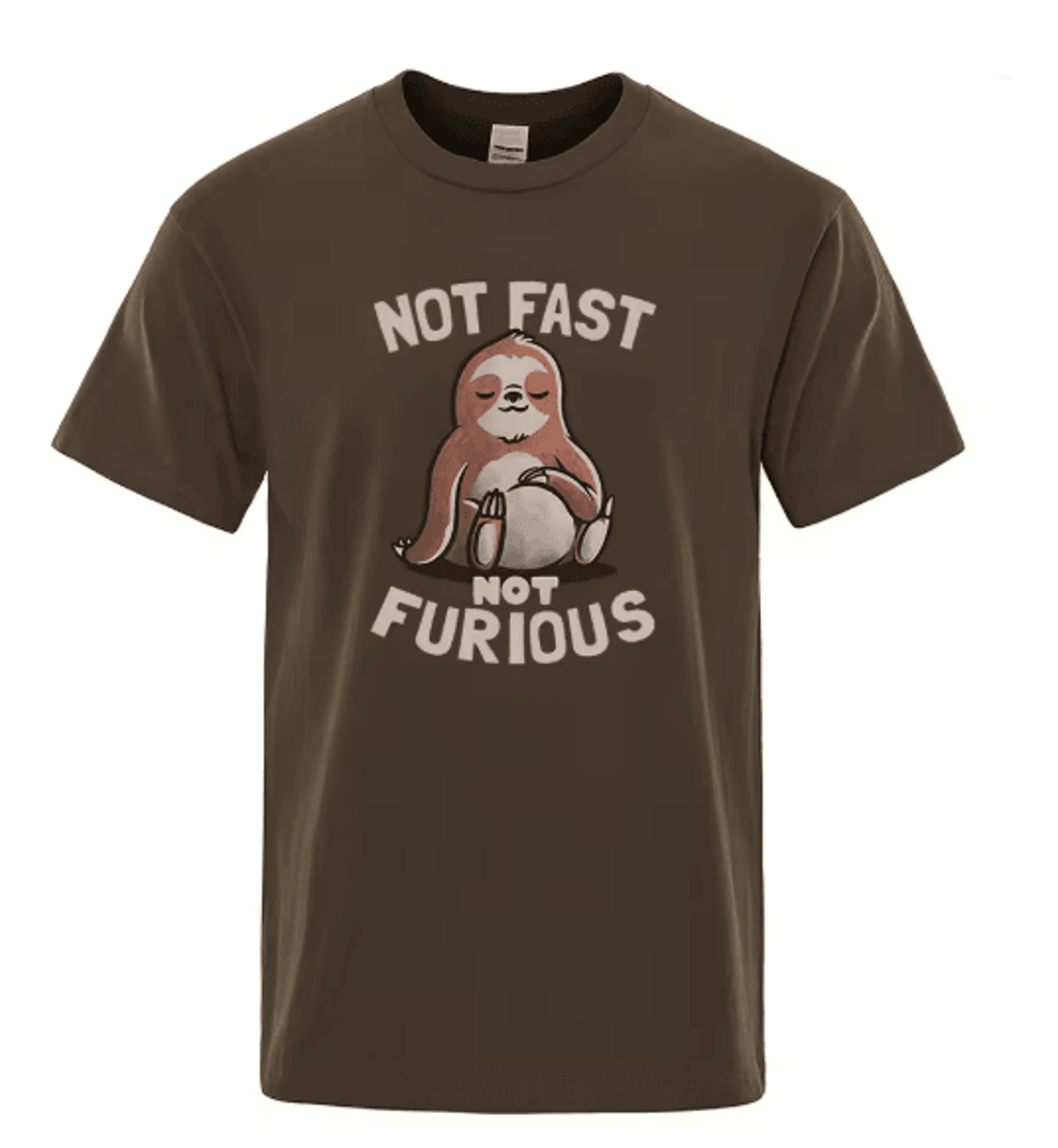 Not Fast Not Furious Sloth Oversized Cotton Streetwear T Shirt 5