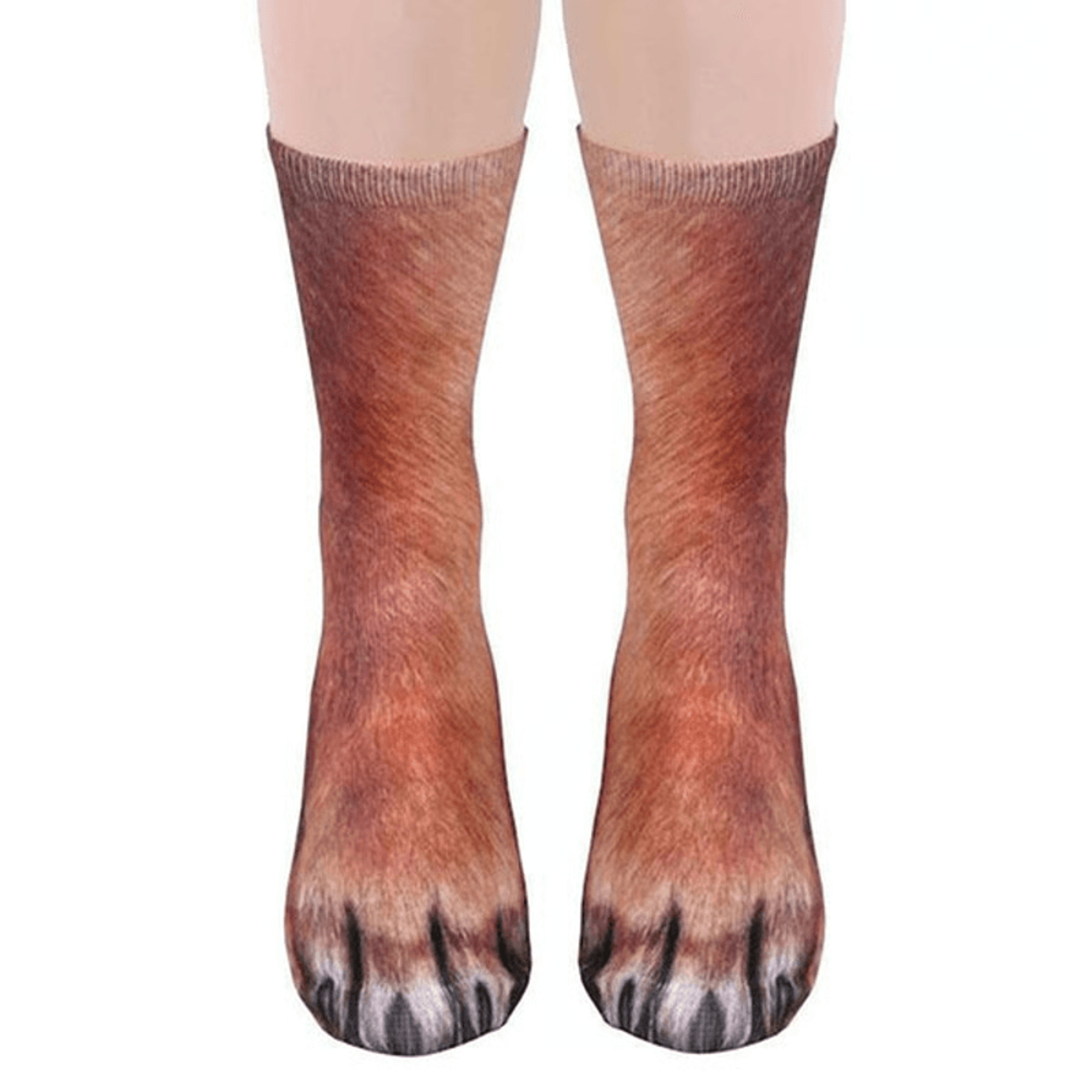 Closeup of paw socks as party outfit