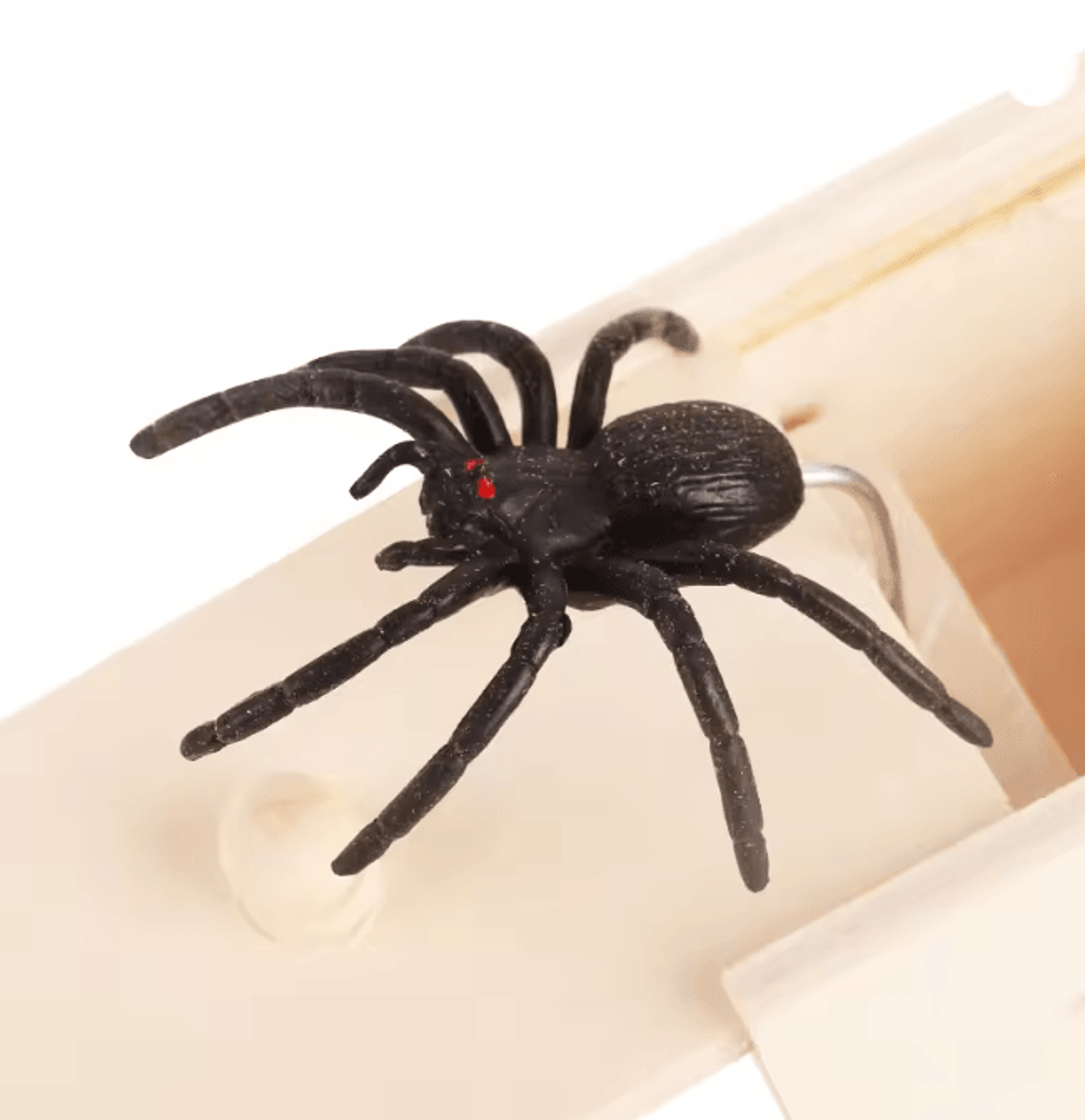 Wooden Spider Prank Box Surprise Toy For Halloween And Party Fun 1