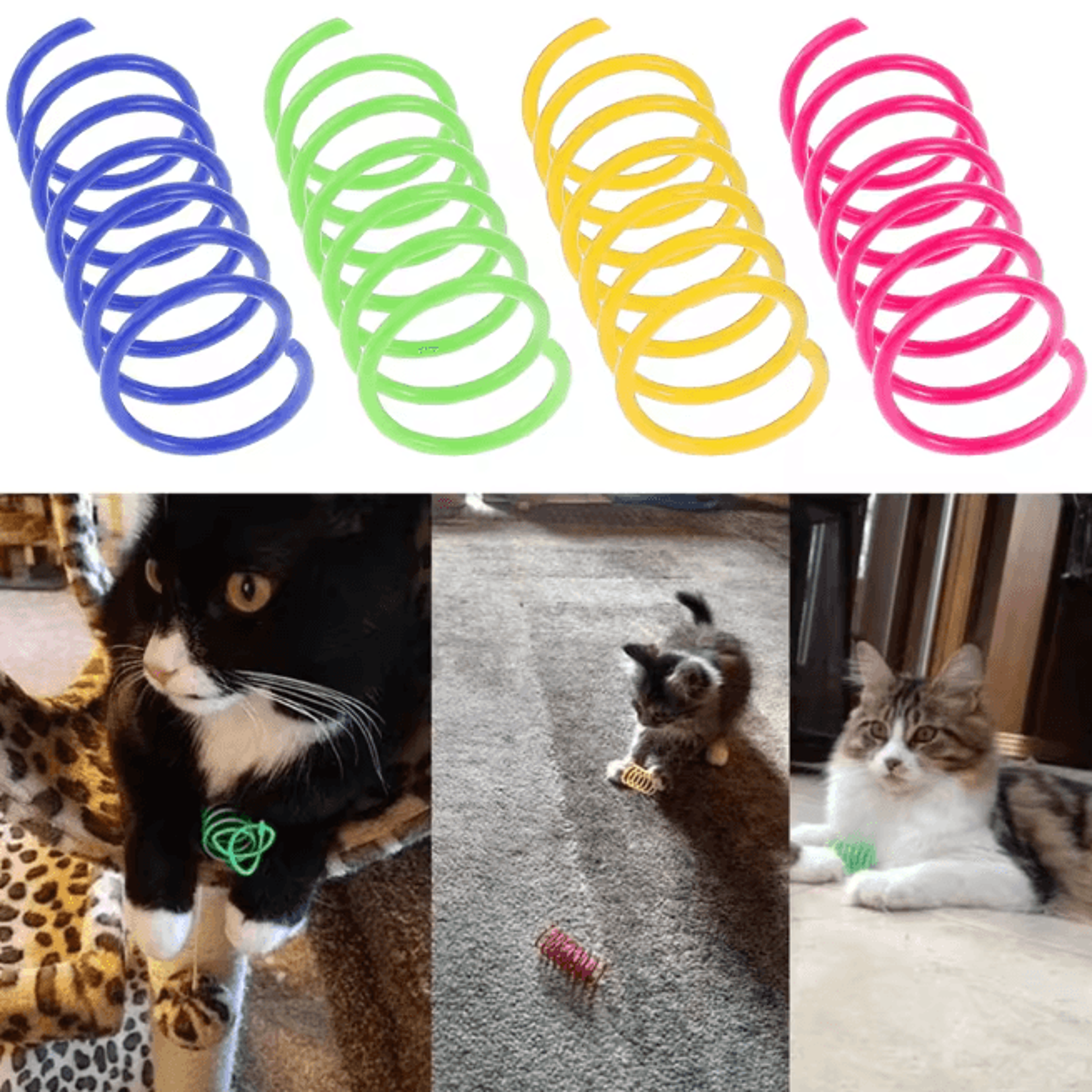 Colorful Cat Spring Toys Interactive Coil Play Set 16 Pieces 4