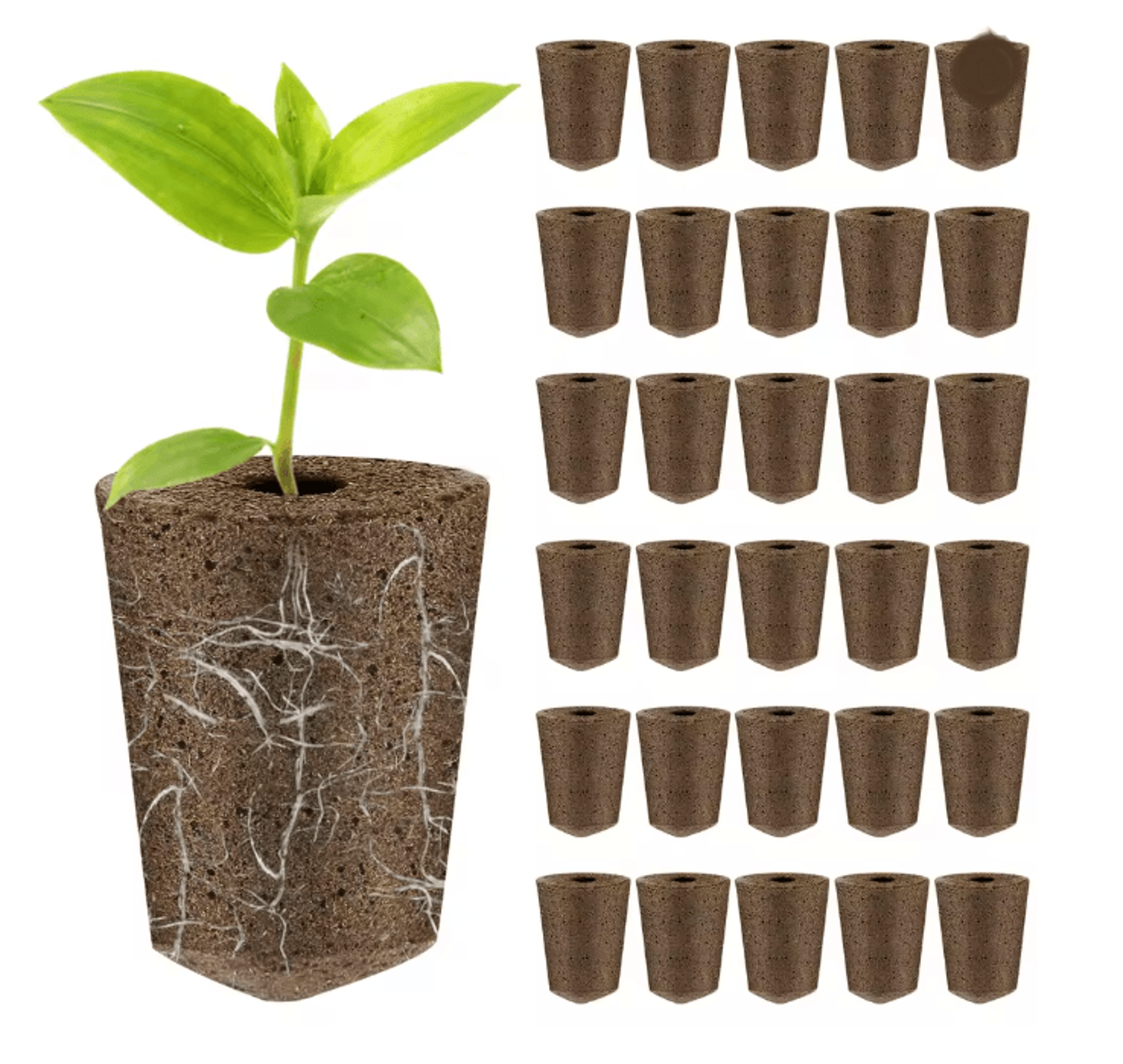 Hydroponic Seed Starter Sponges Replacement Grow Pods For Strong Root Growth 5