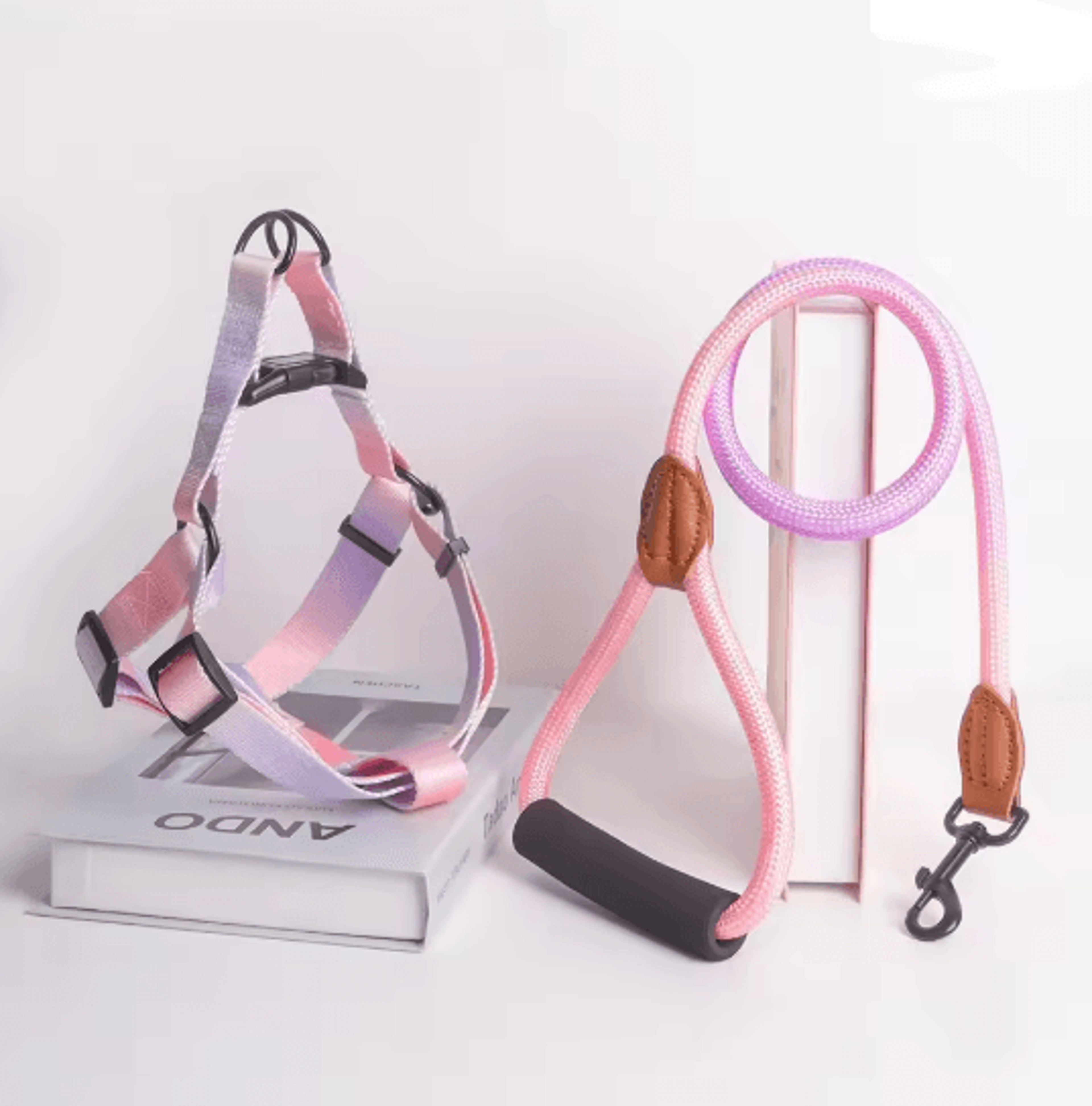 Adjustable Small Dog Harness And Leash Set 5