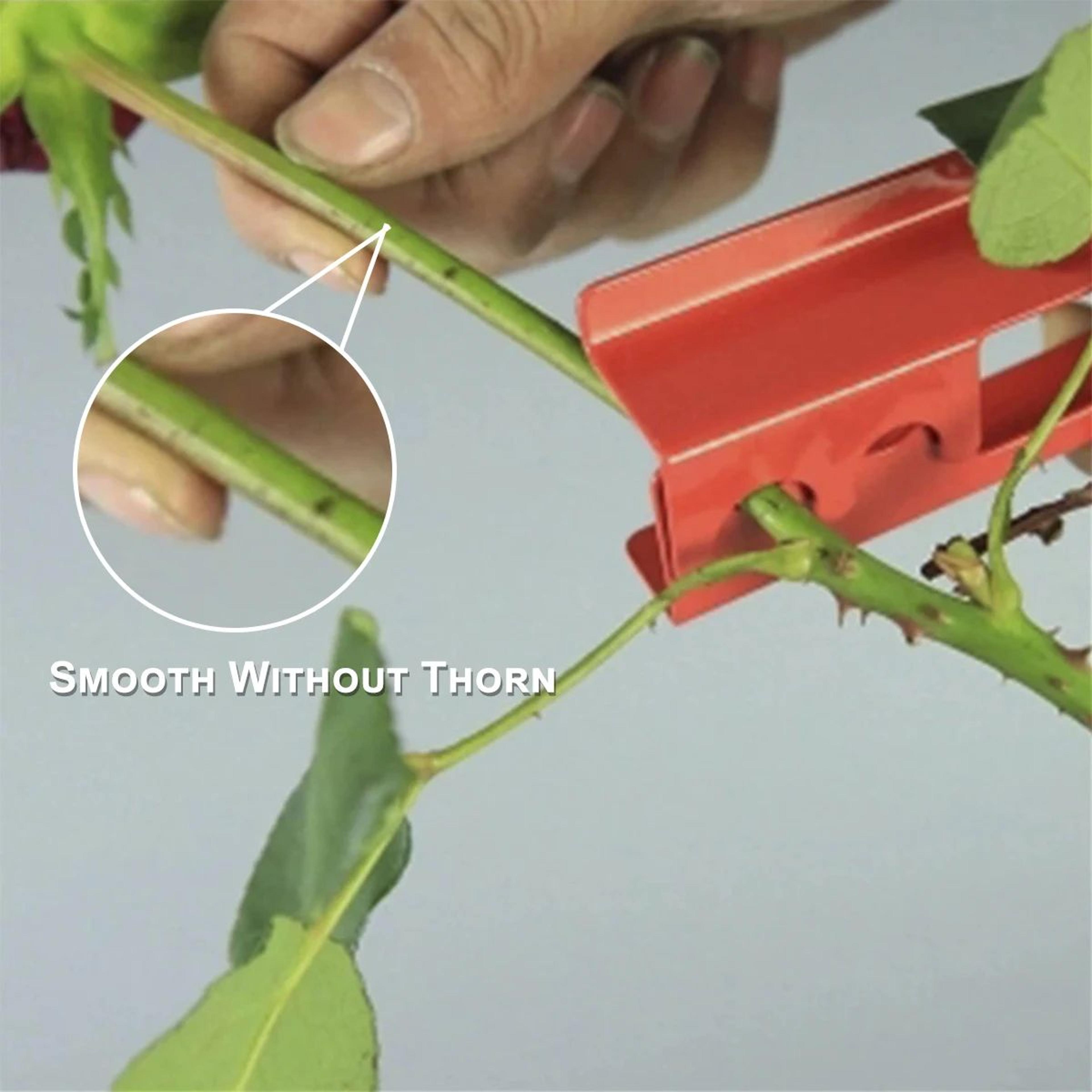RoseEase Thorn Stripper Tool With Gloves For Safe Gardening 1