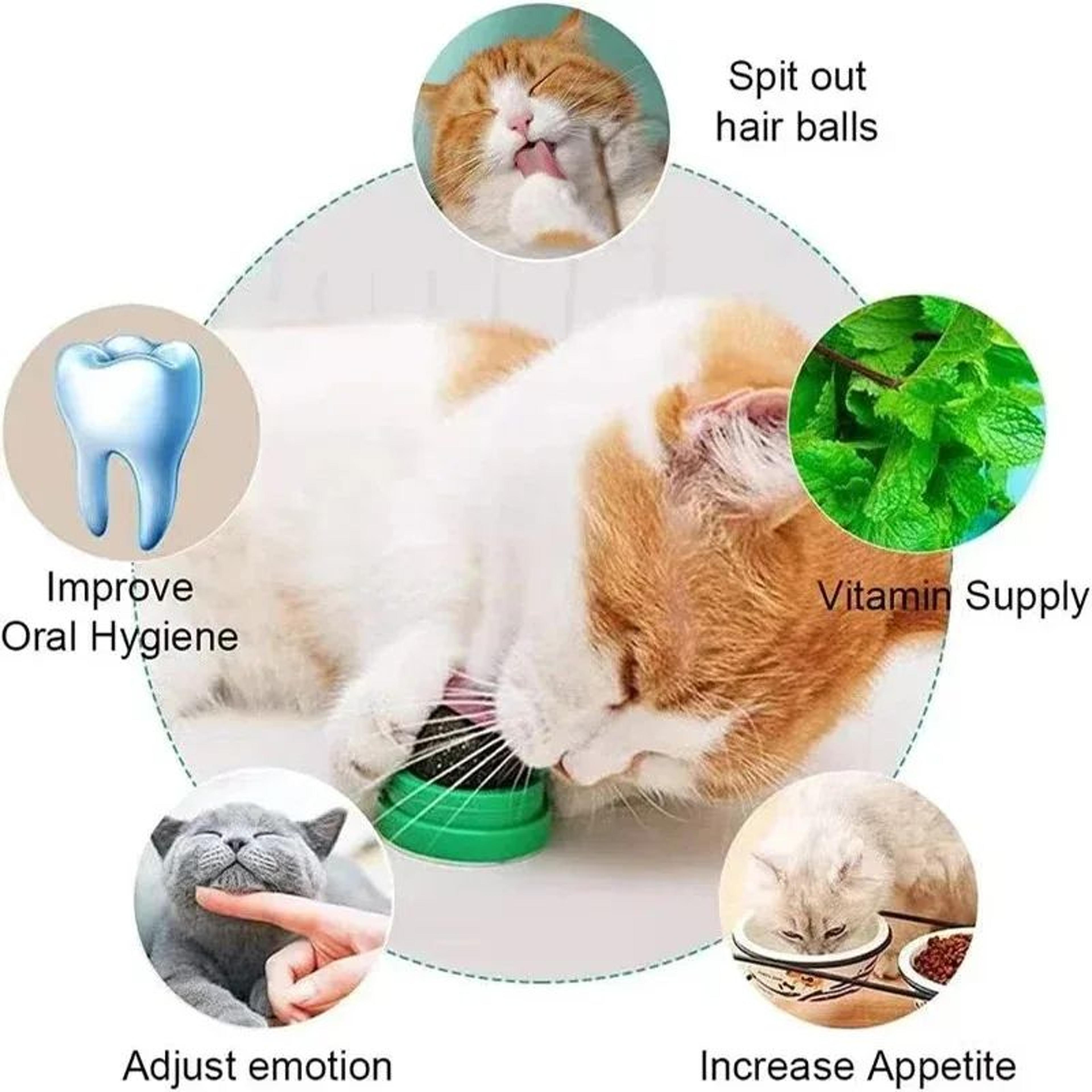 Wall Mounted Catnip Ball Toy And Scratching Post For Cats 3