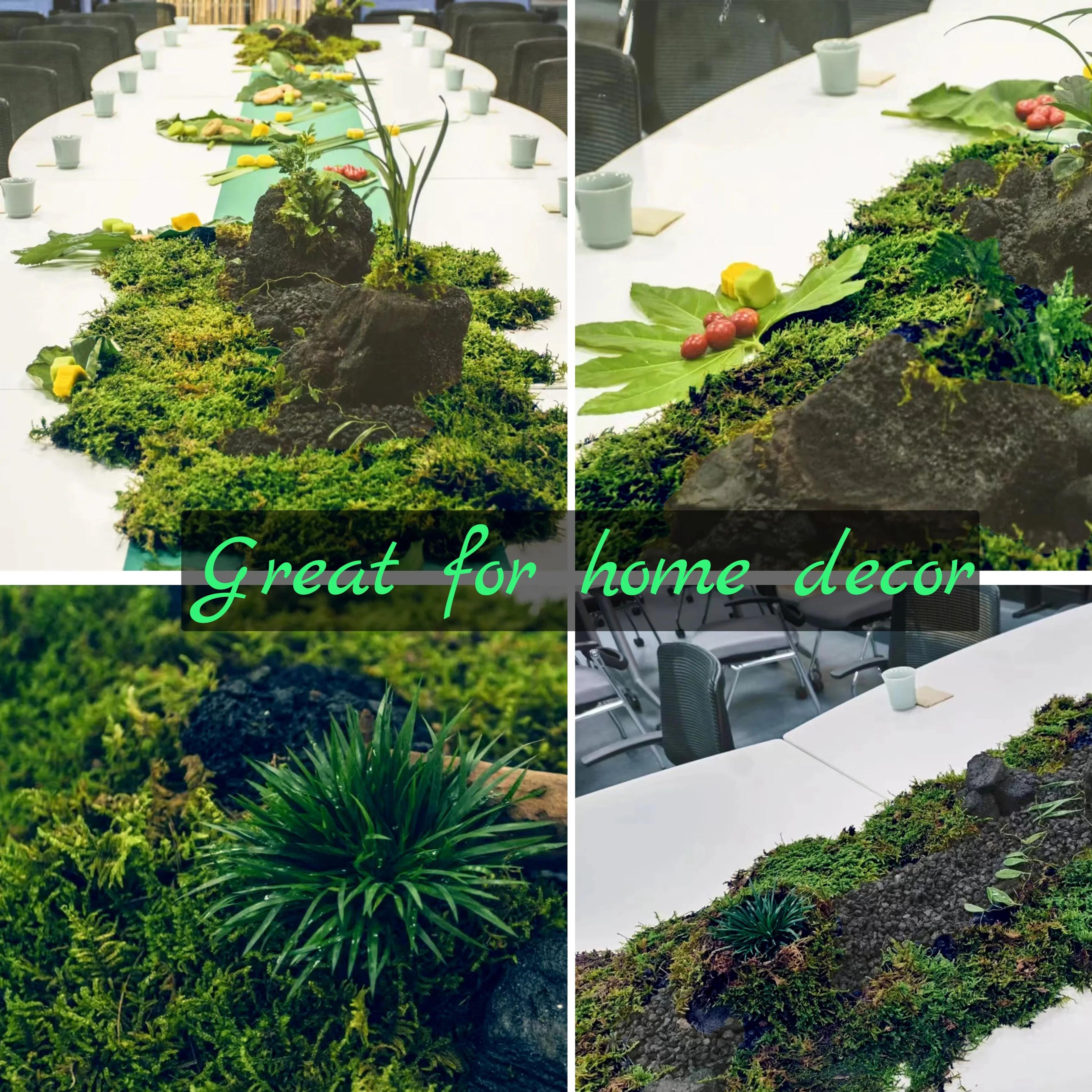 Artificial Moss Green Plant Decor Peat Moss Potting Craft 3