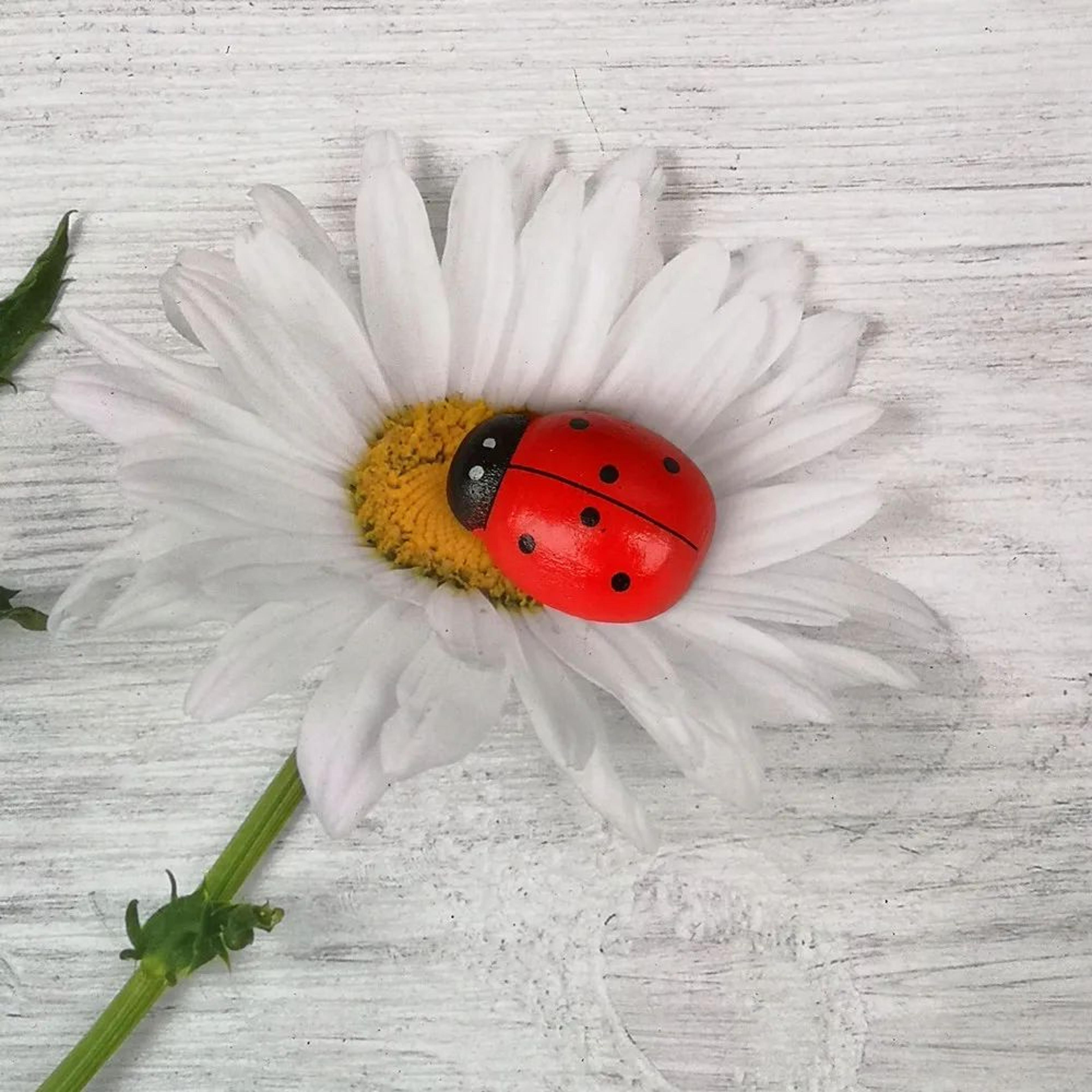 Wooden Ladybug Miniature Fairy Garden Decor DIY Craft Ornament 2