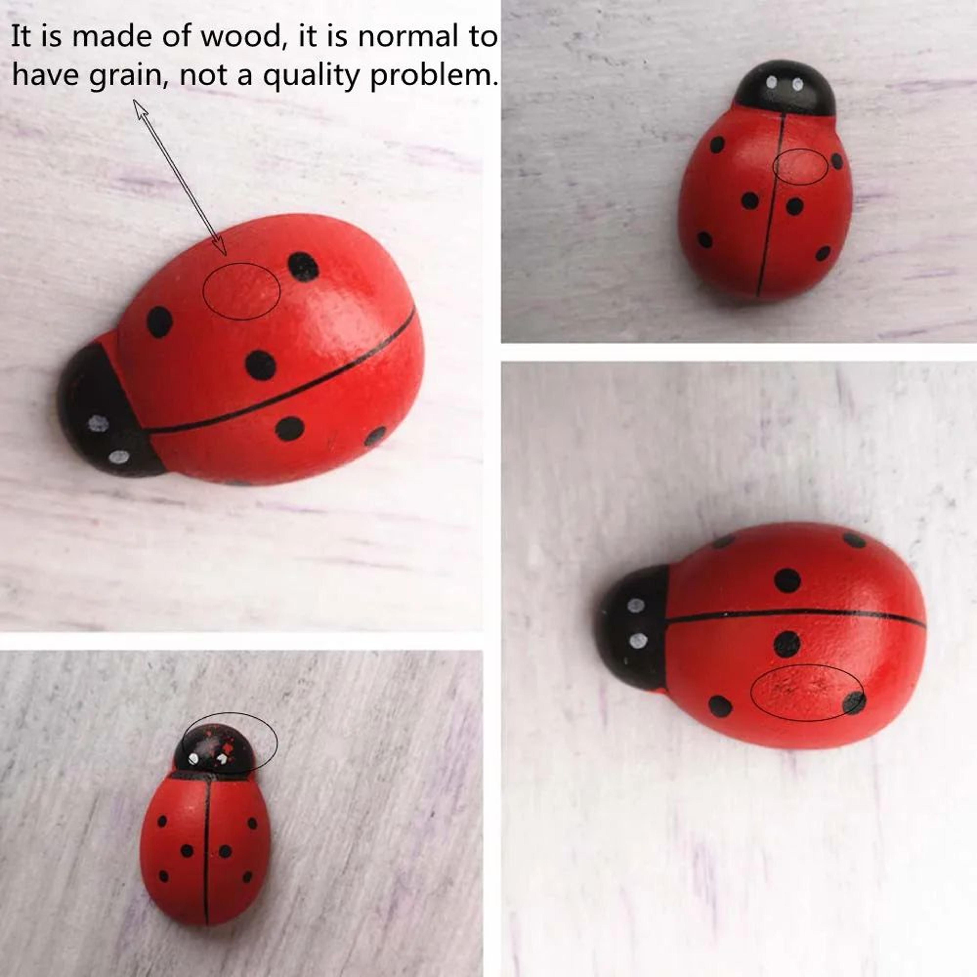Wooden Ladybug Miniature Fairy Garden Decor DIY Craft Ornament 5