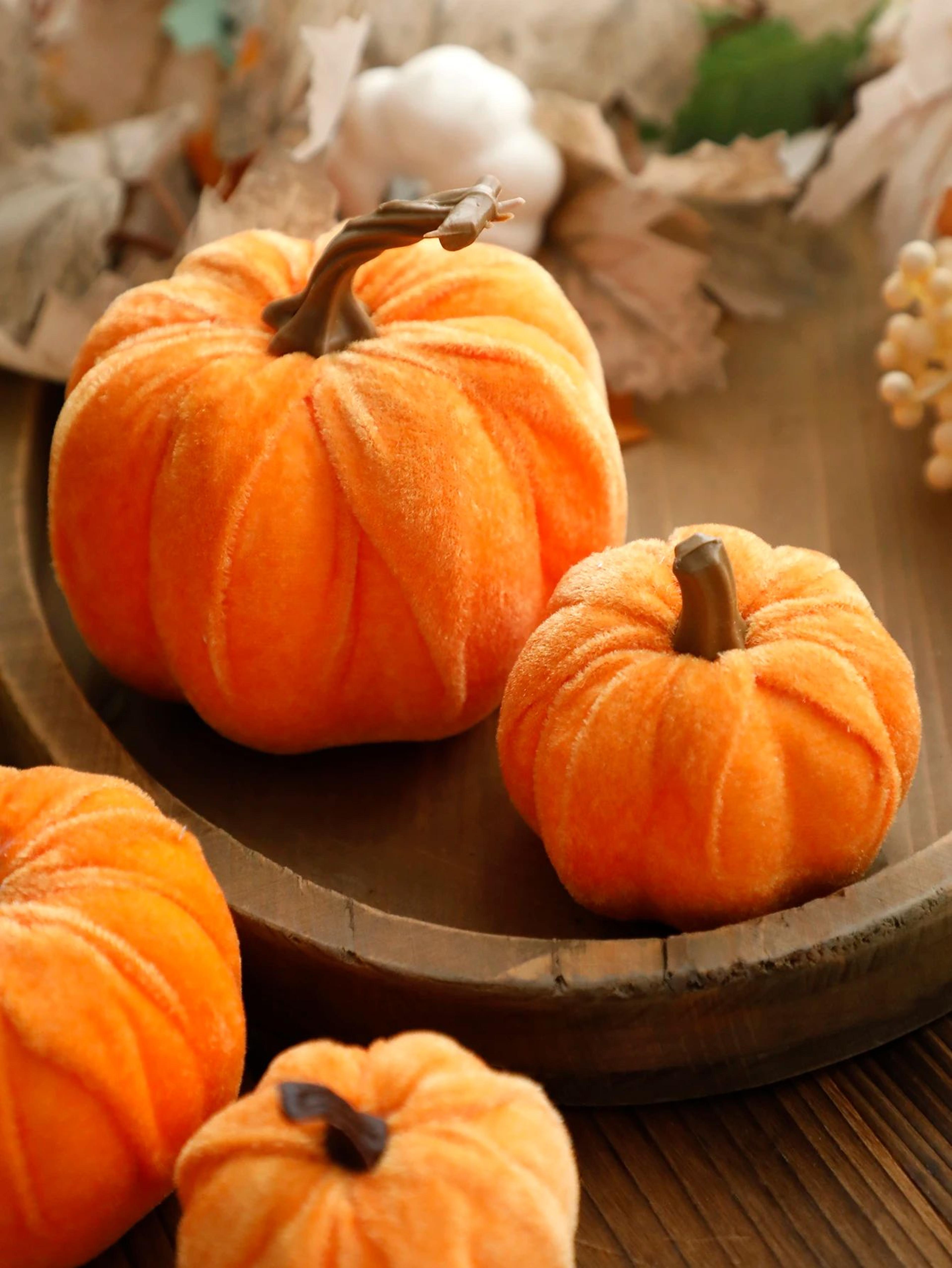 Velvet Pumpkin Decor For Fall Home Decor And Thanksgiving Table Styling 2