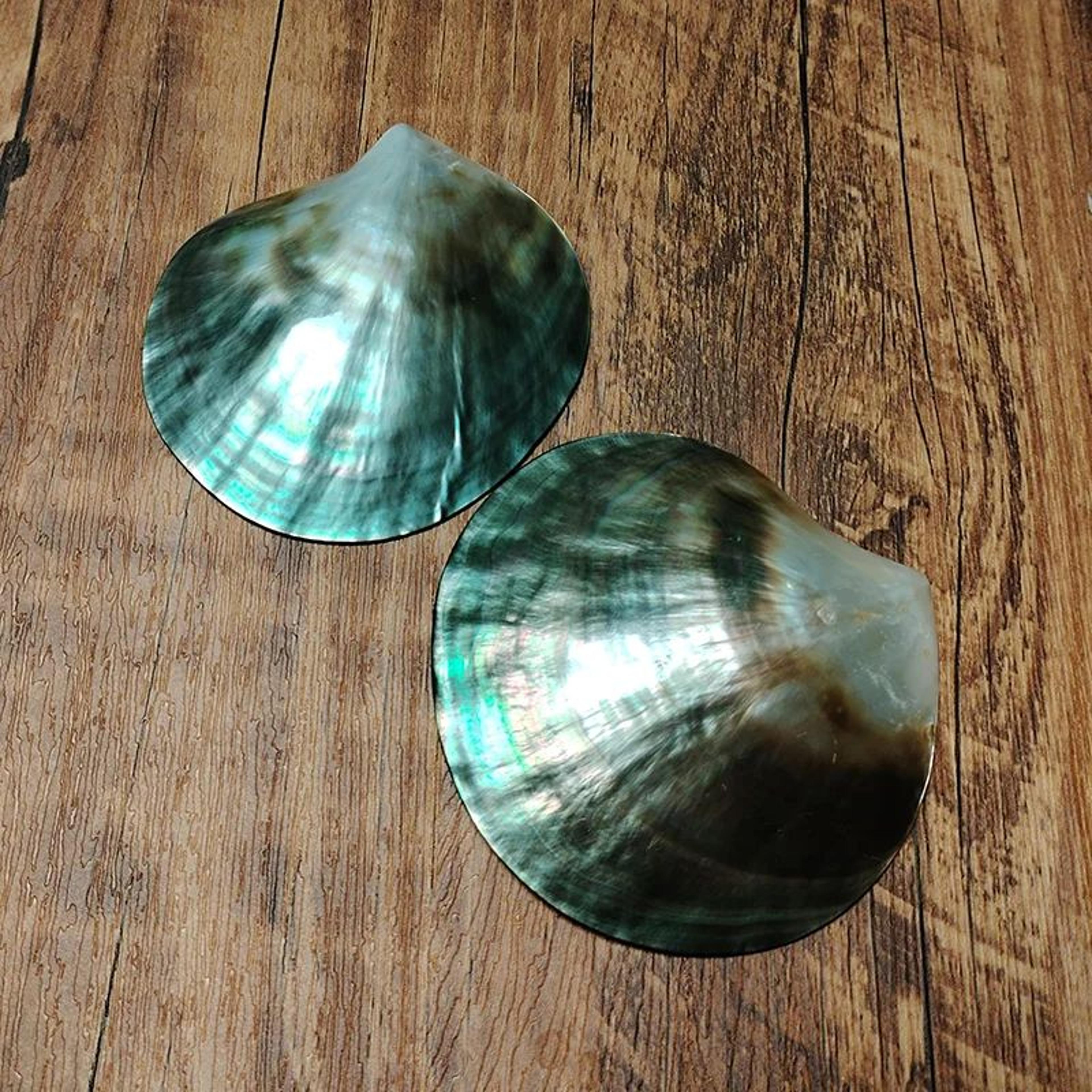 black mother of pearl shell dish for jewelry storage and decorative display